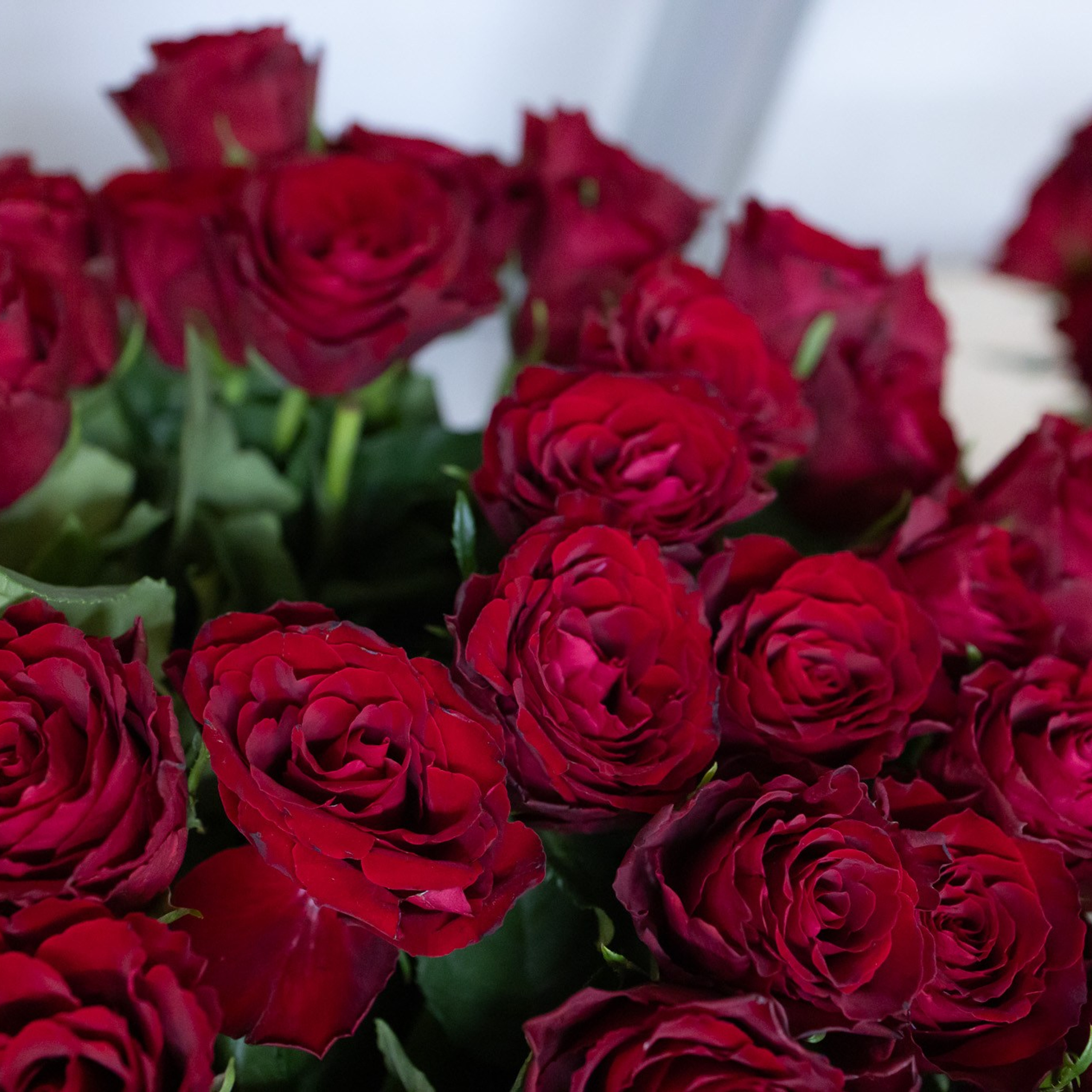 Testimonials. Family photographer Zurich & Switzerland Daria Moore