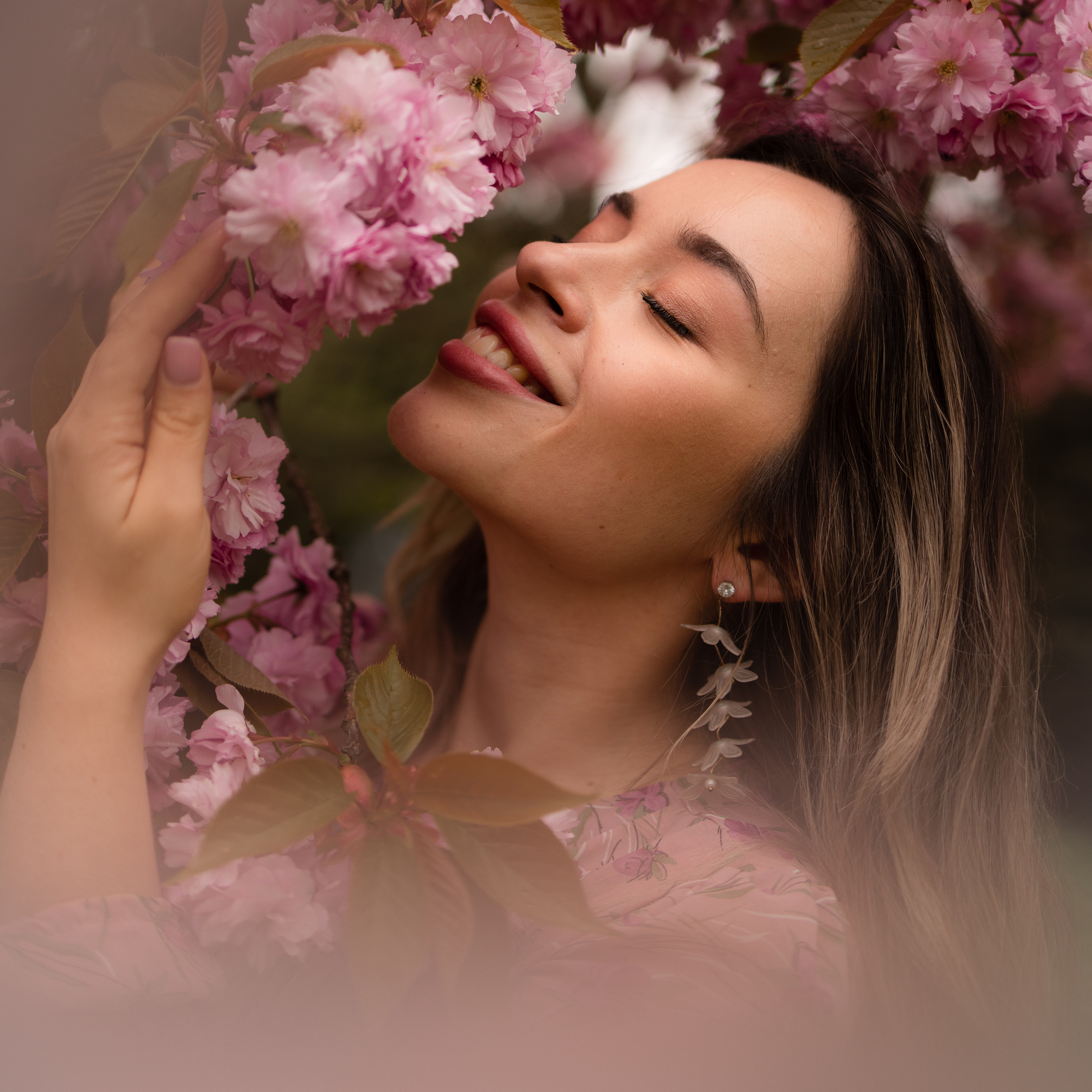 Cherry blossom