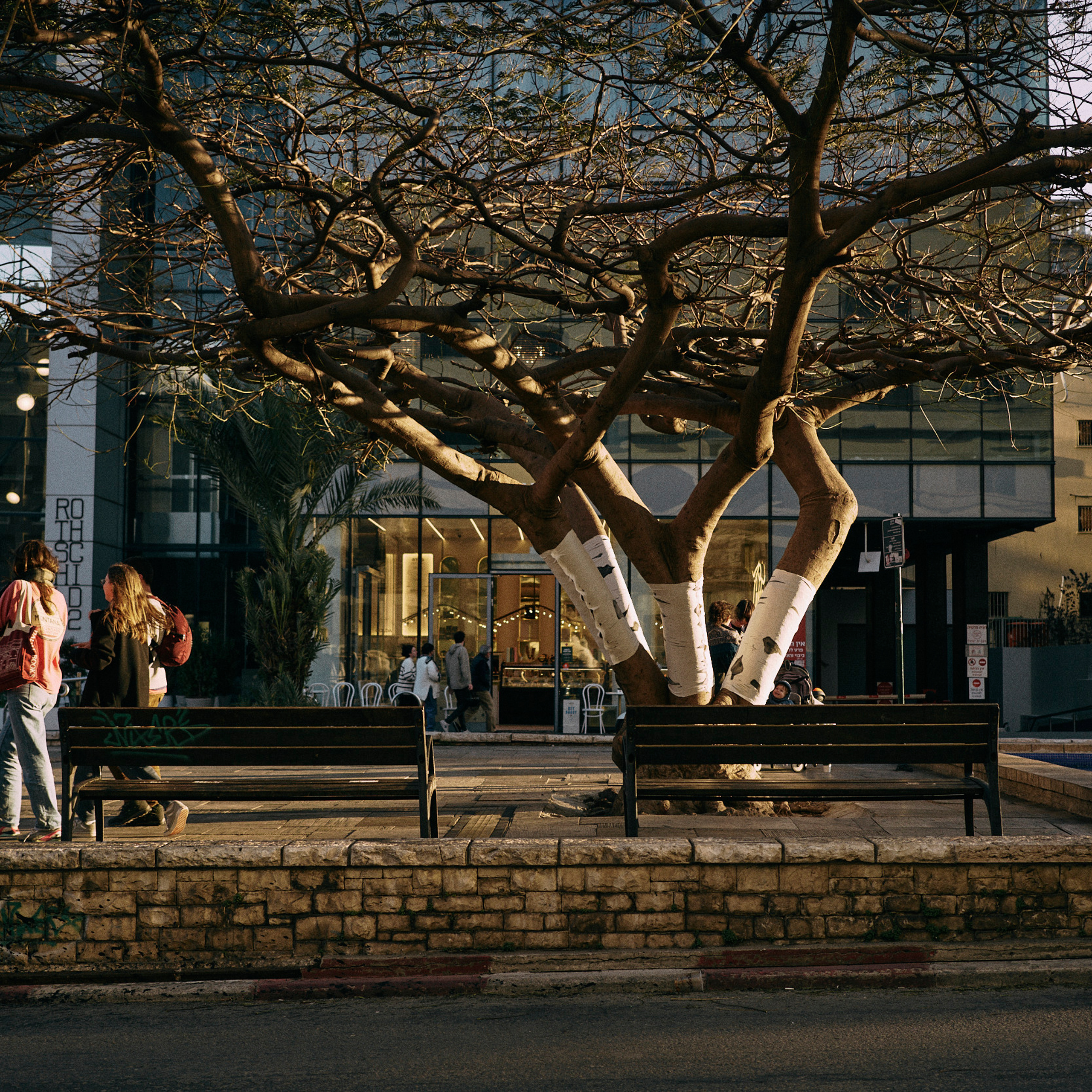 Reviews | Anastasiia Nelen photographer