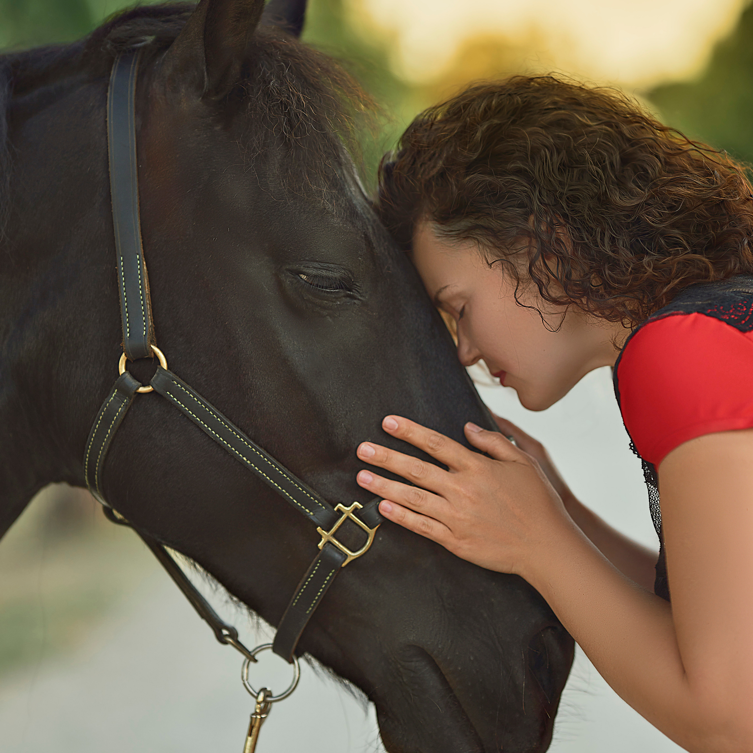 Photo shoot with horses