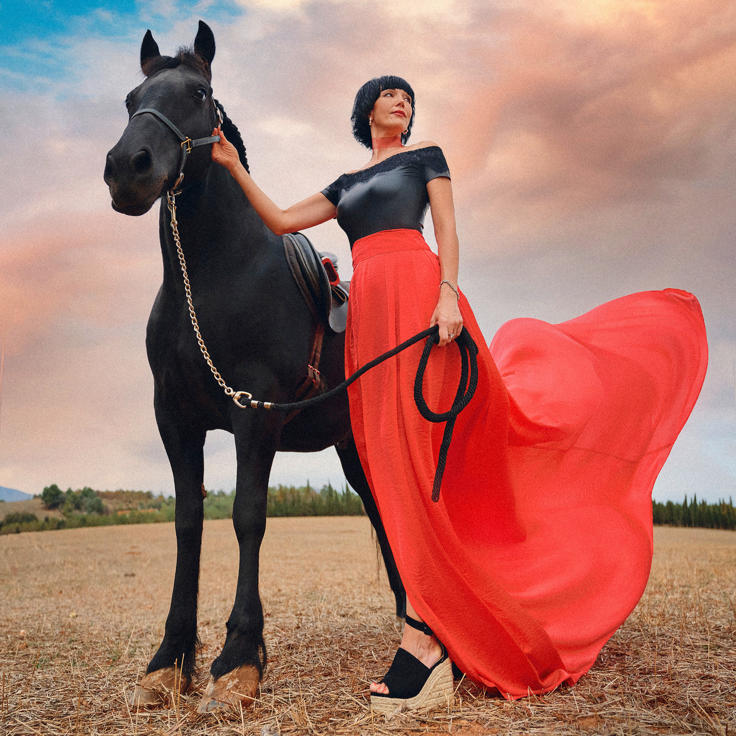 Photo shoot with horses