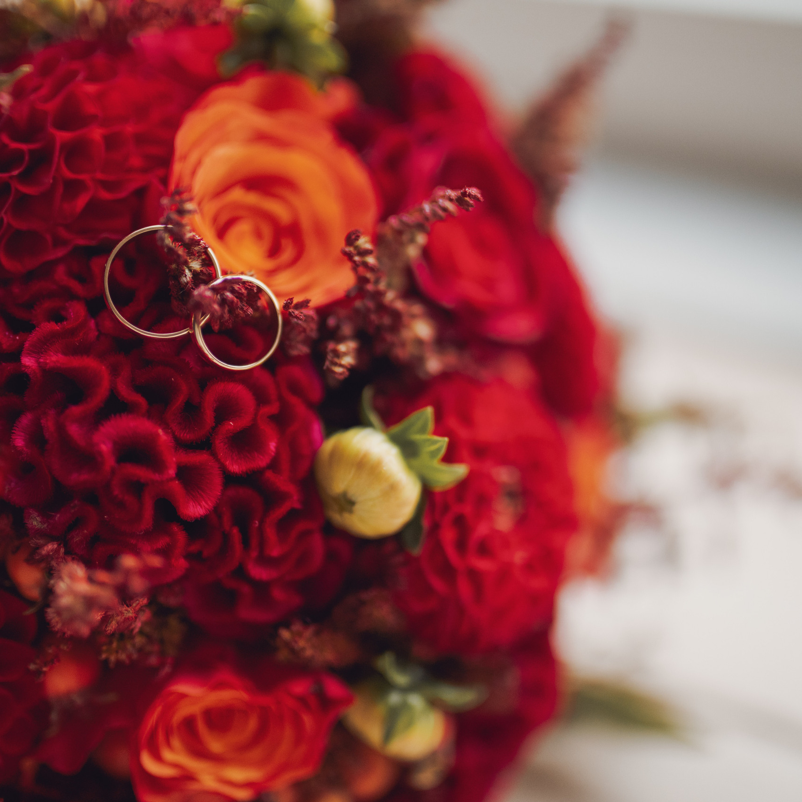 Отзывы. Фотограф в Таллинне — портретные, семейные и детские фотосессии