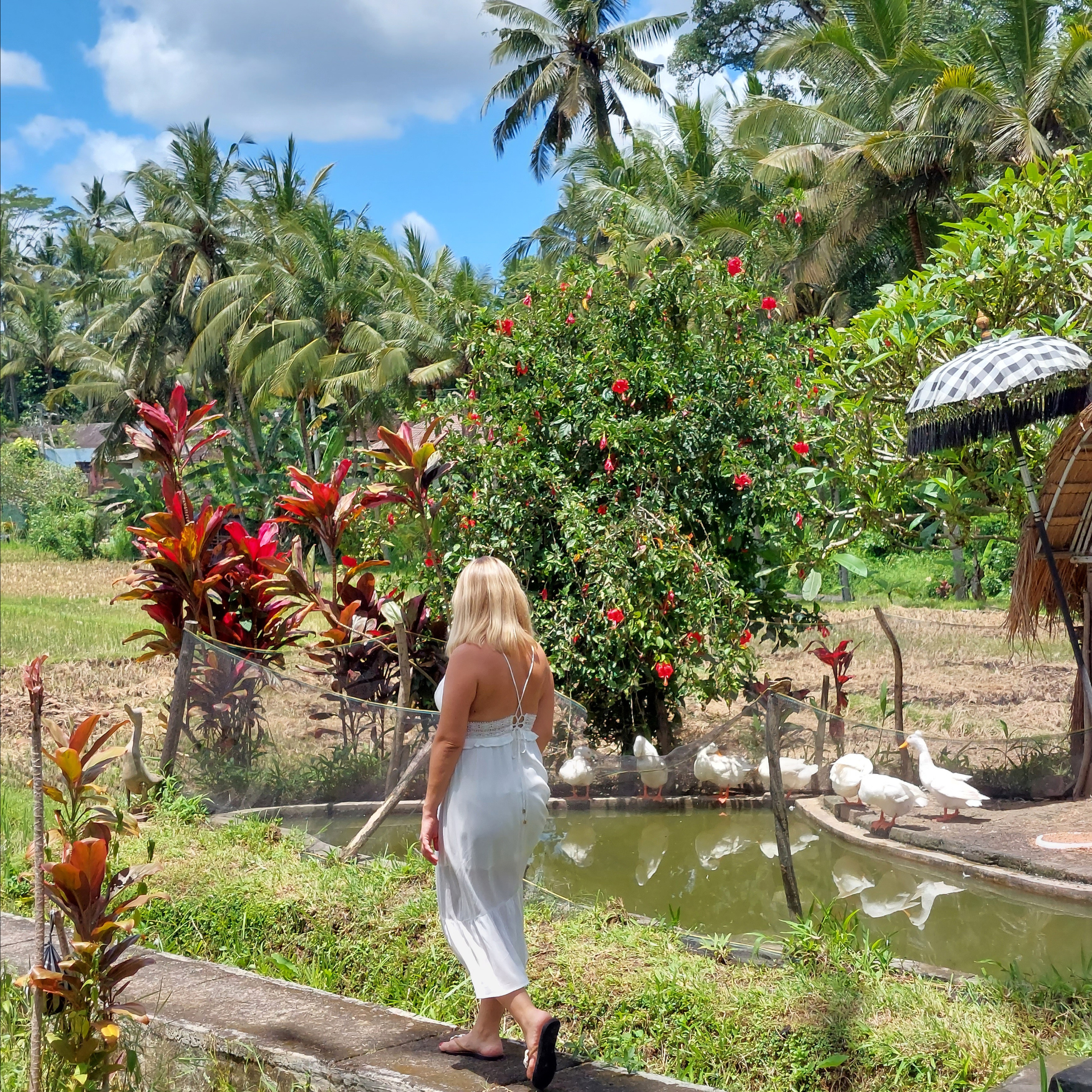 Memories from fairytale island