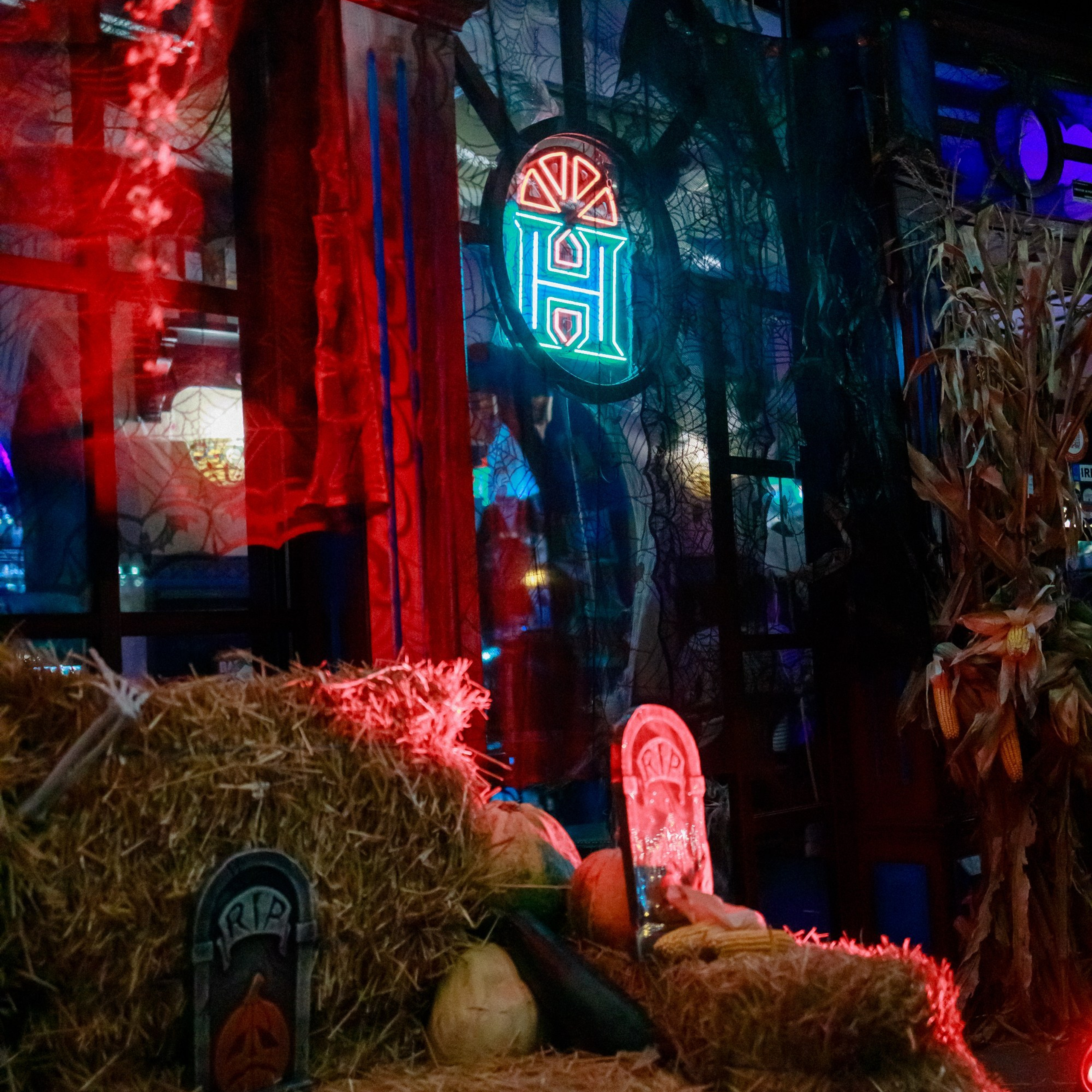 Feedback. Elena Gorobets. Photographer in Zagreb