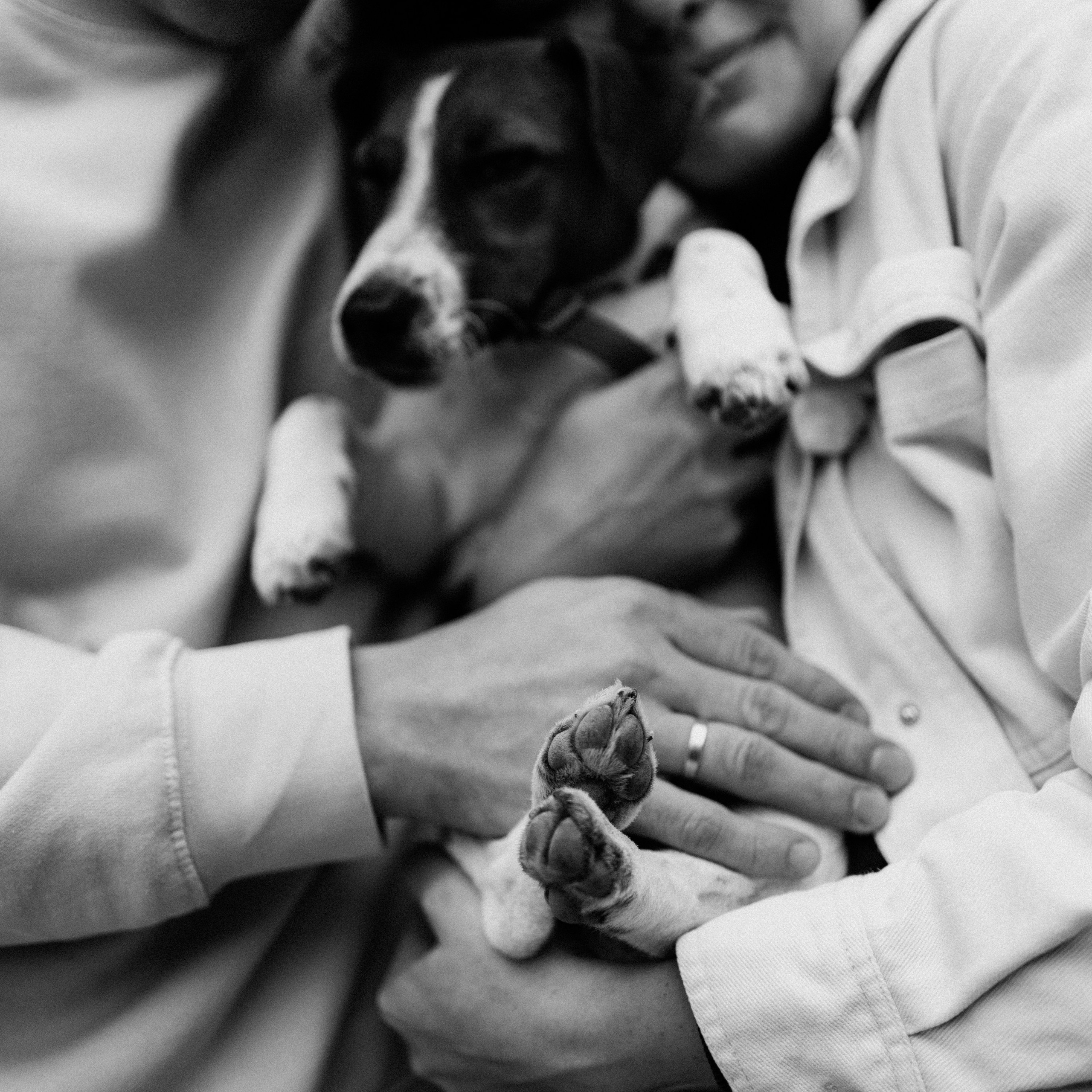 Feedback. Elena Gorobets. Photographer in Zagreb