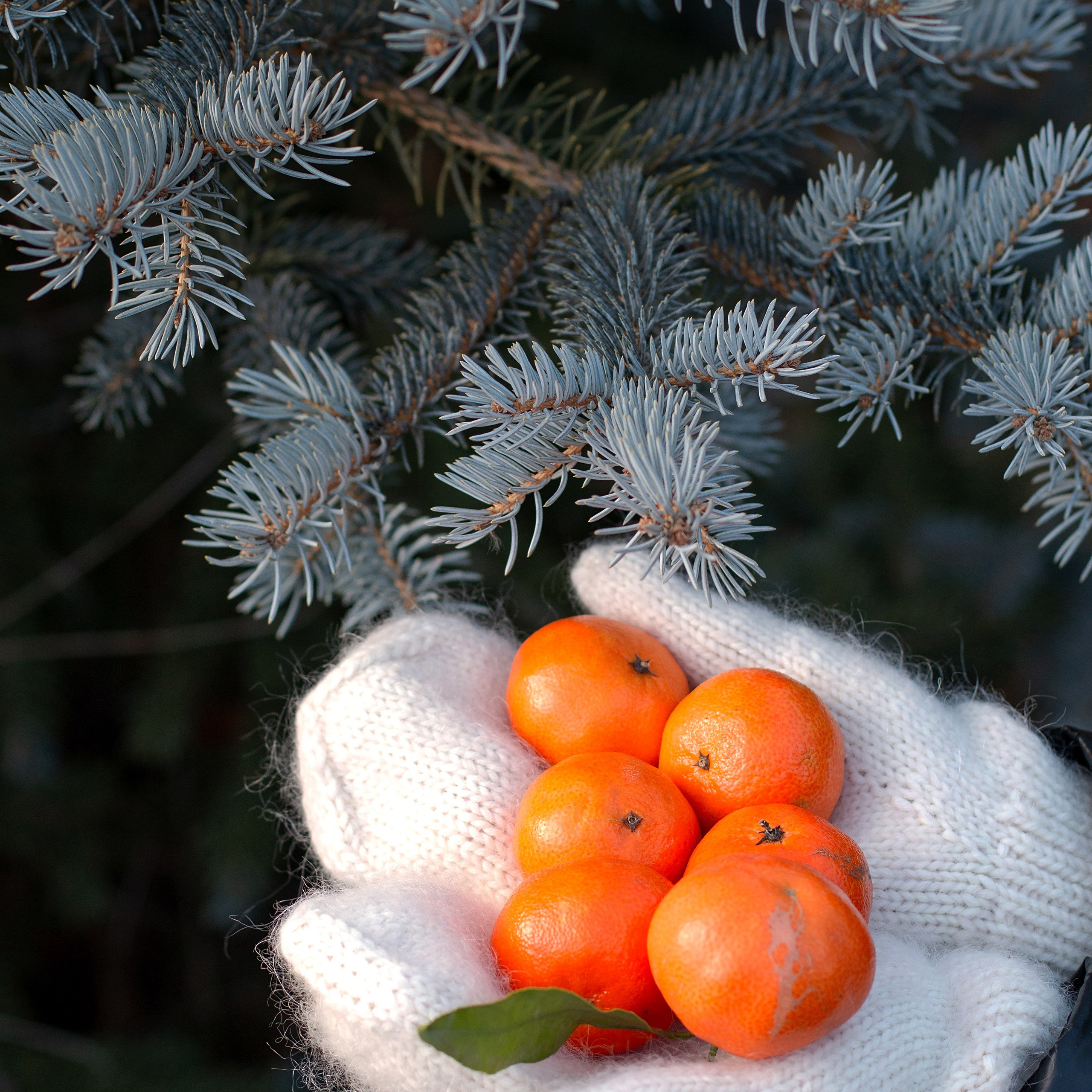 Новый год на улице