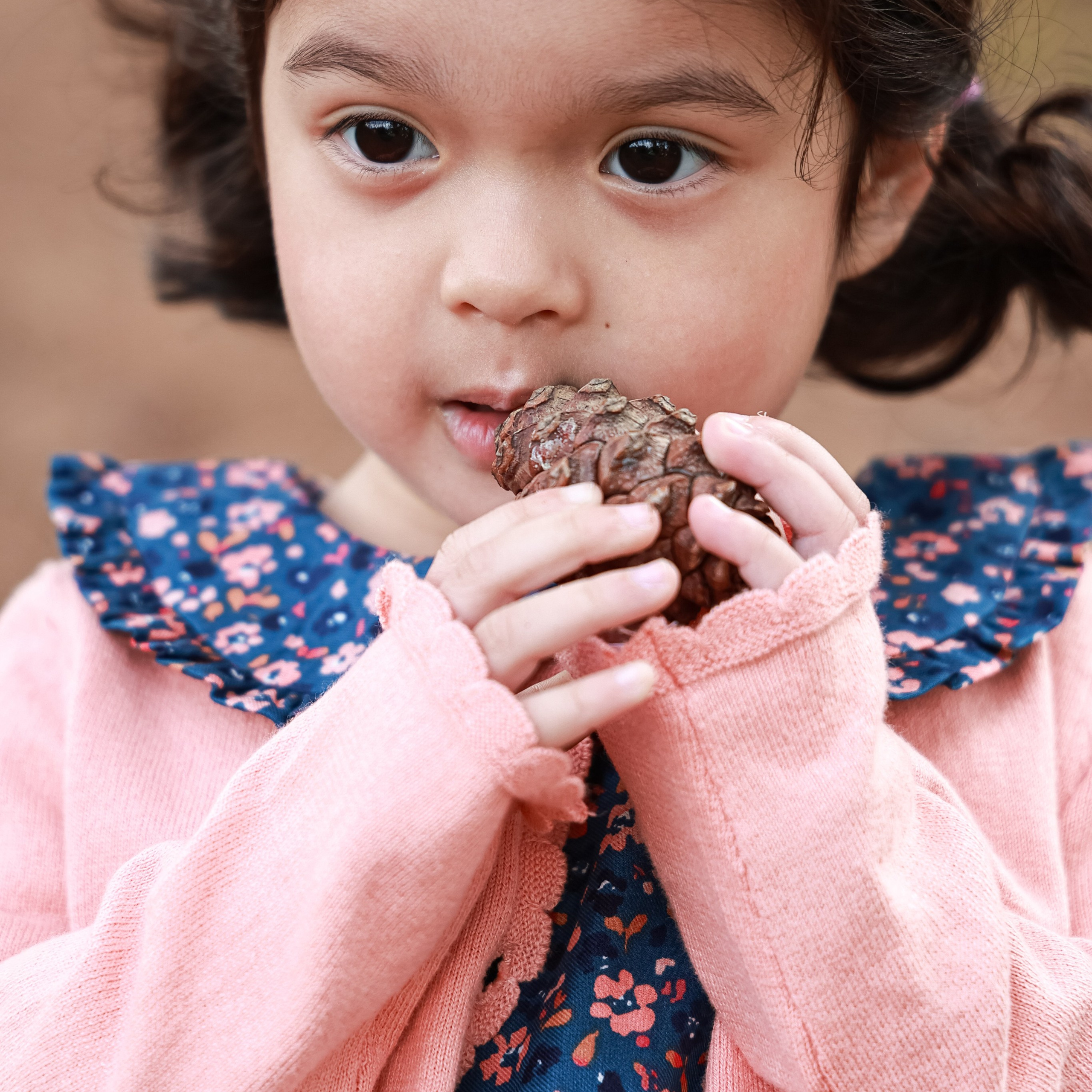 Testimonials. Photo | Video creator San Diego CA