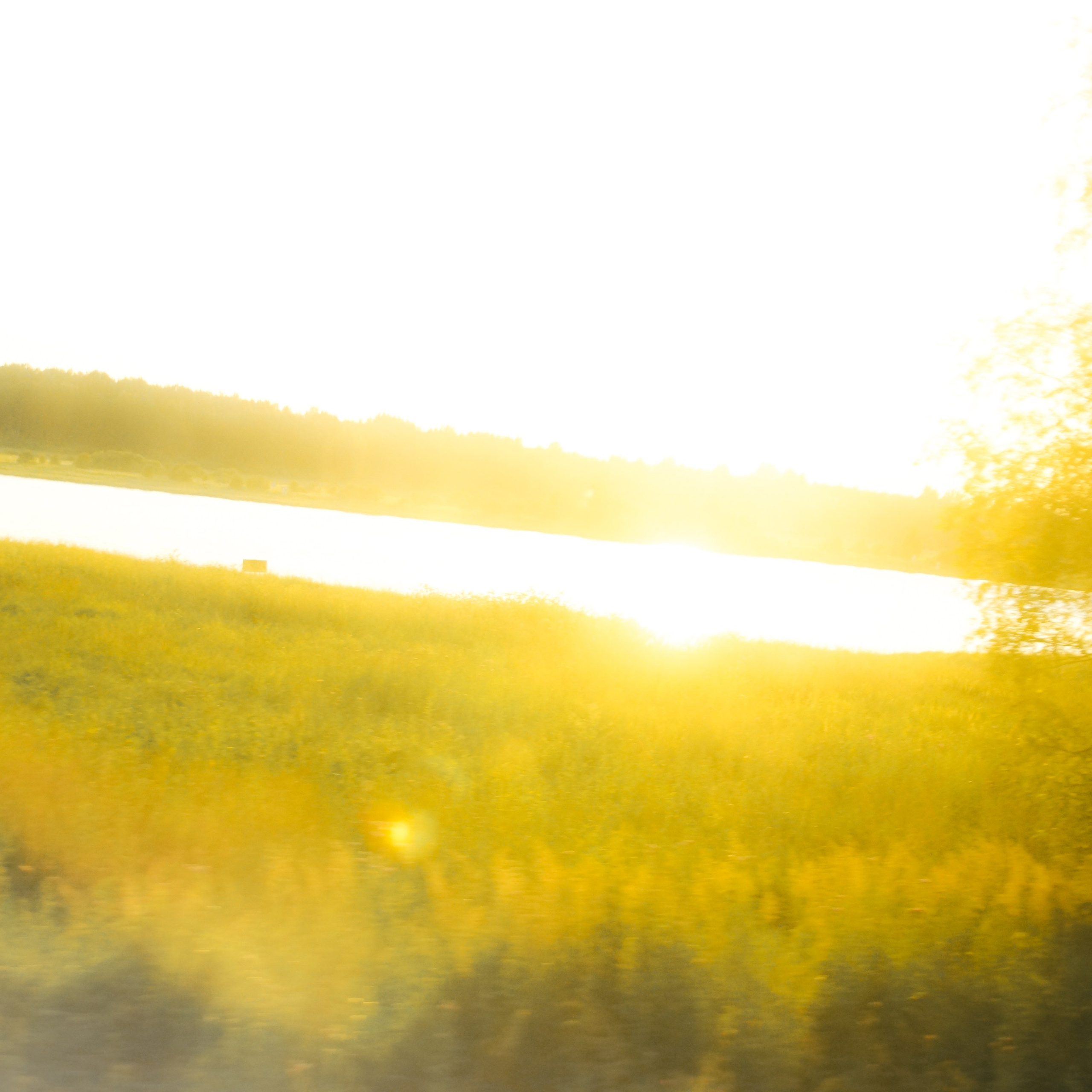 Набор Пресетов «Мечтательный». Фотограф Яна Болотова