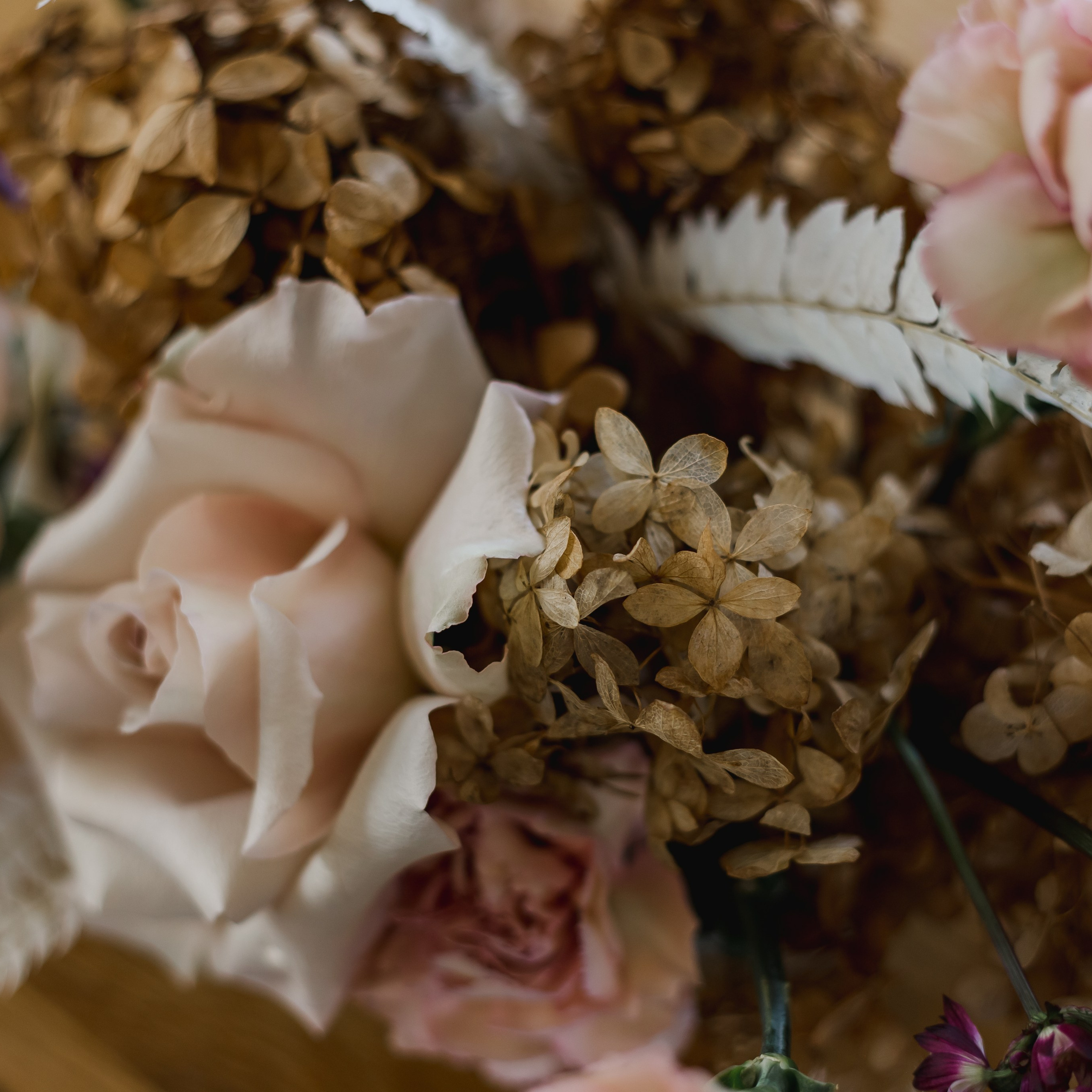 Portfolio. Presets for any camera, any light, any genre