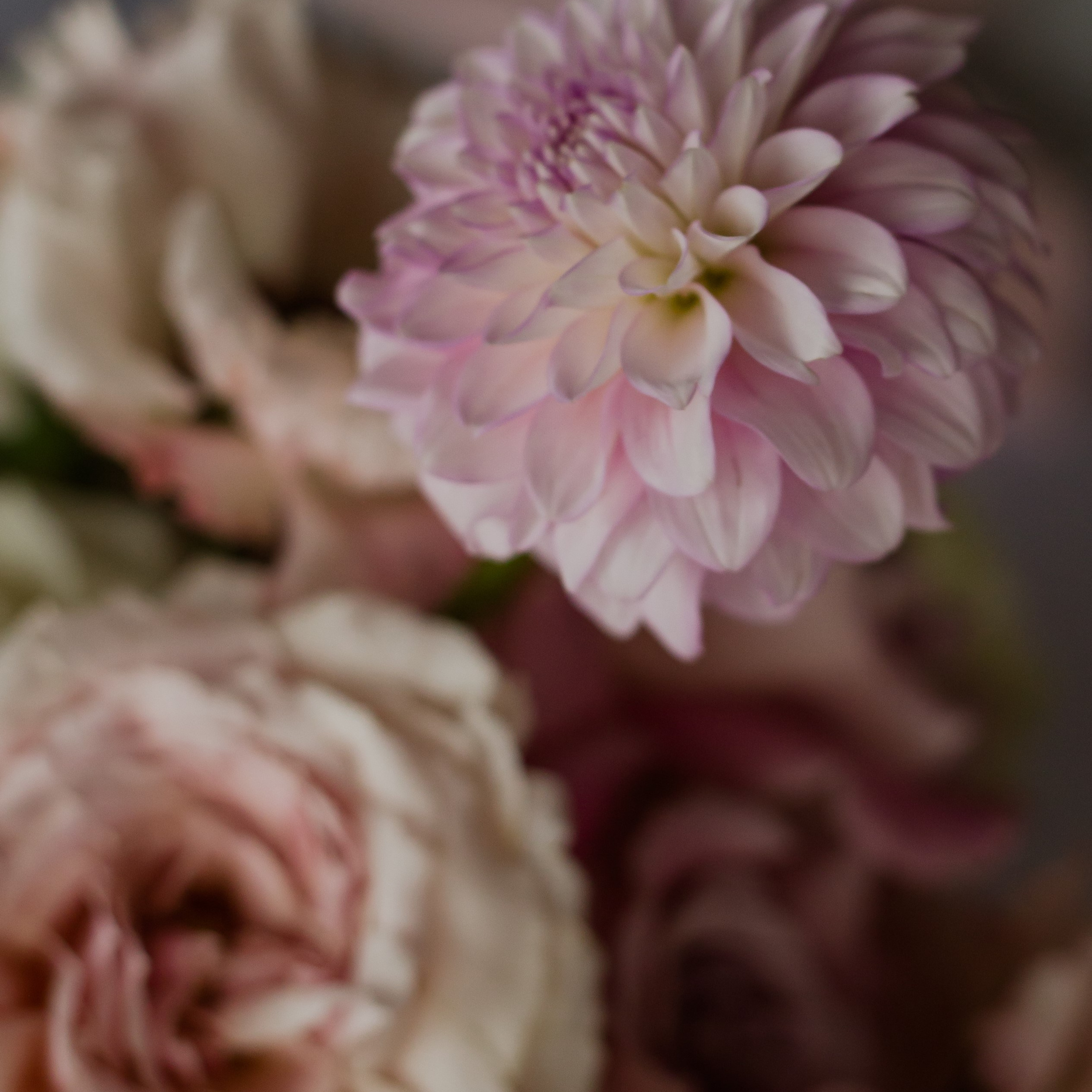 Portfolio. Presets for any camera, any light, any genre