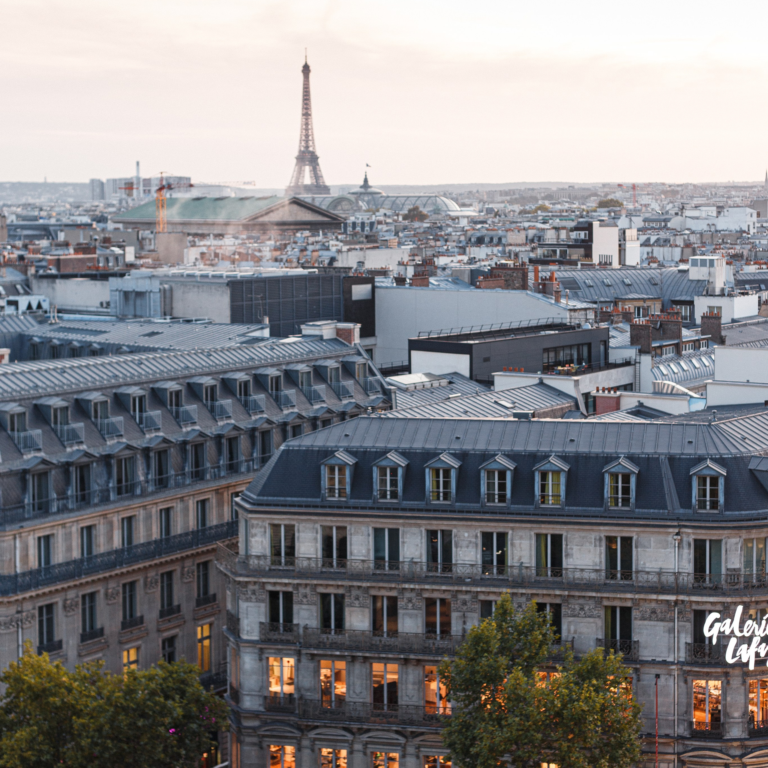 Portfolio. Presets for any camera, any light, any genre