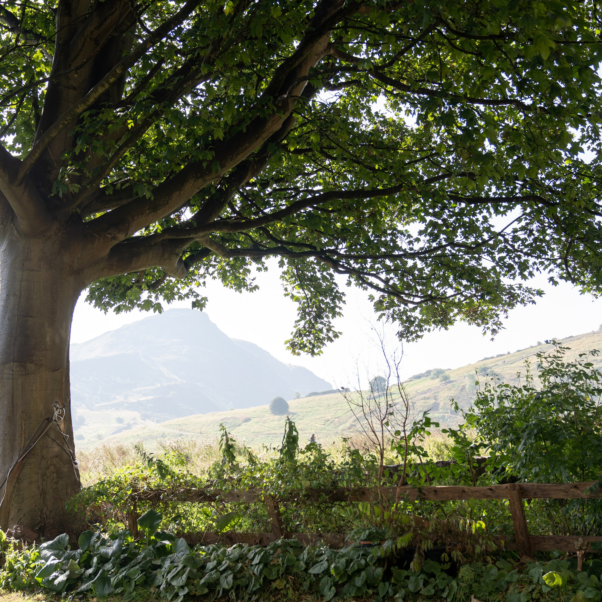 Property. Photographer & Tour Guide Based in Scotland