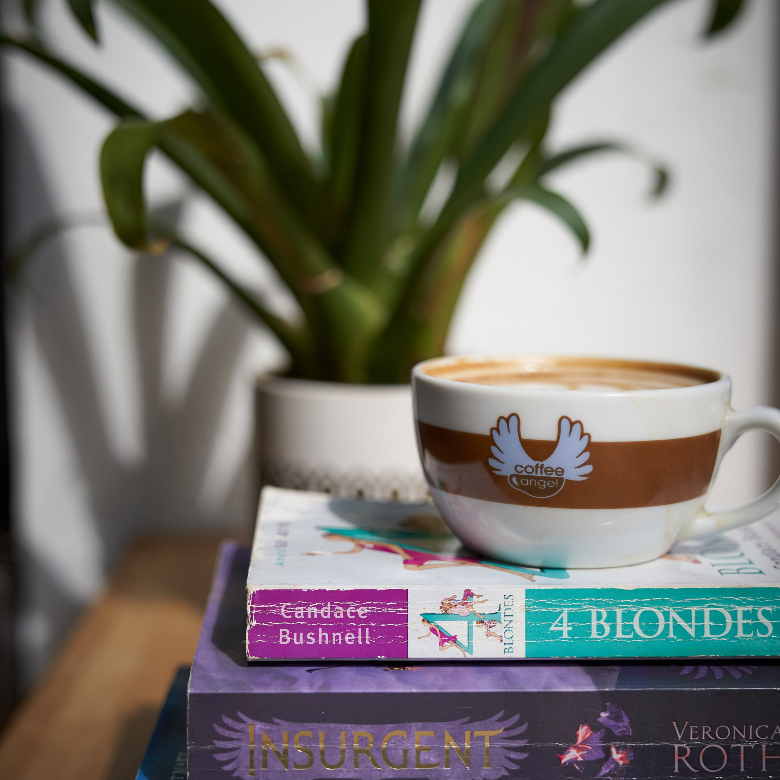 Cafe Angel. Photographer & Tour Guide Based in Scotland