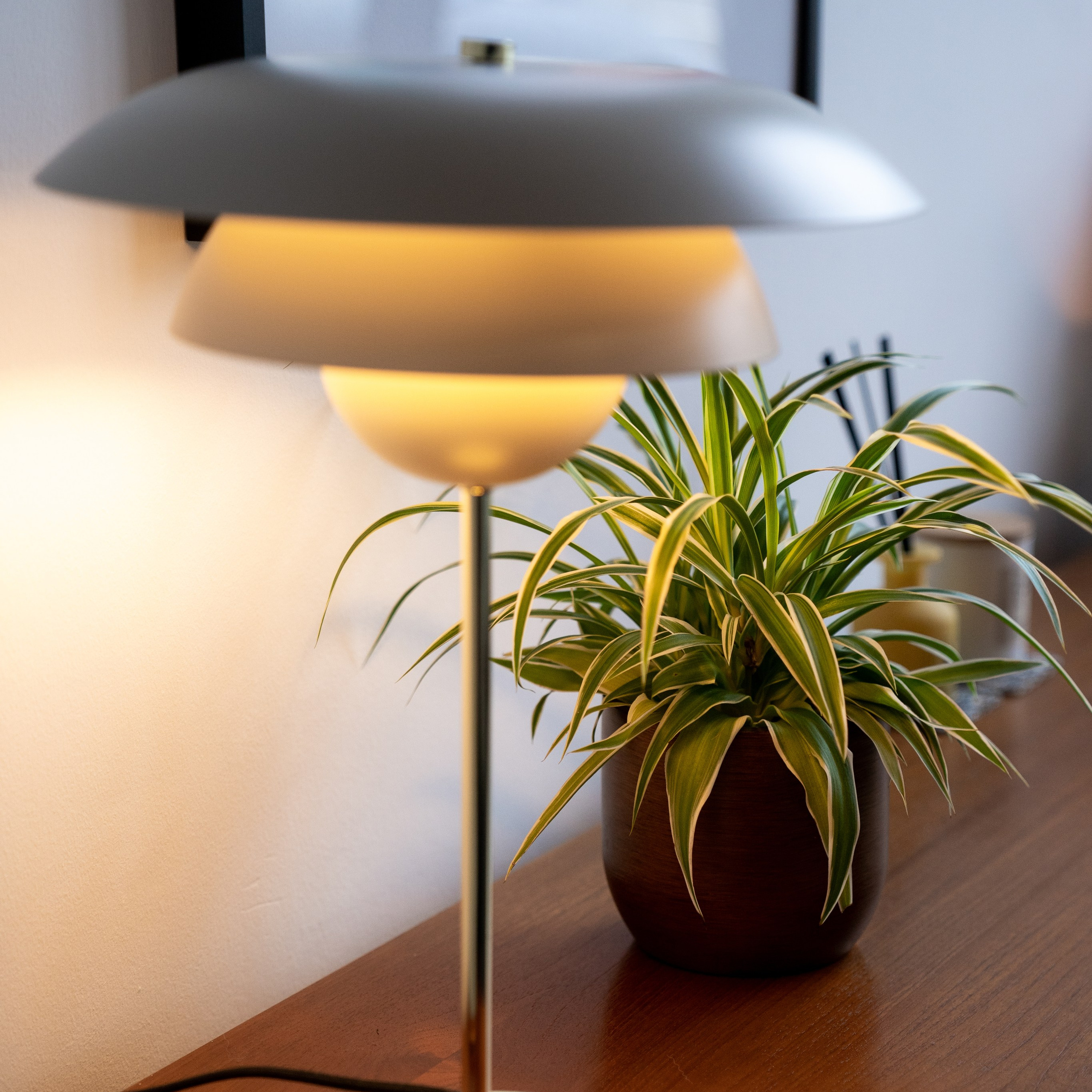 More lettings. Photographer & Tour Guide Based in Scotland