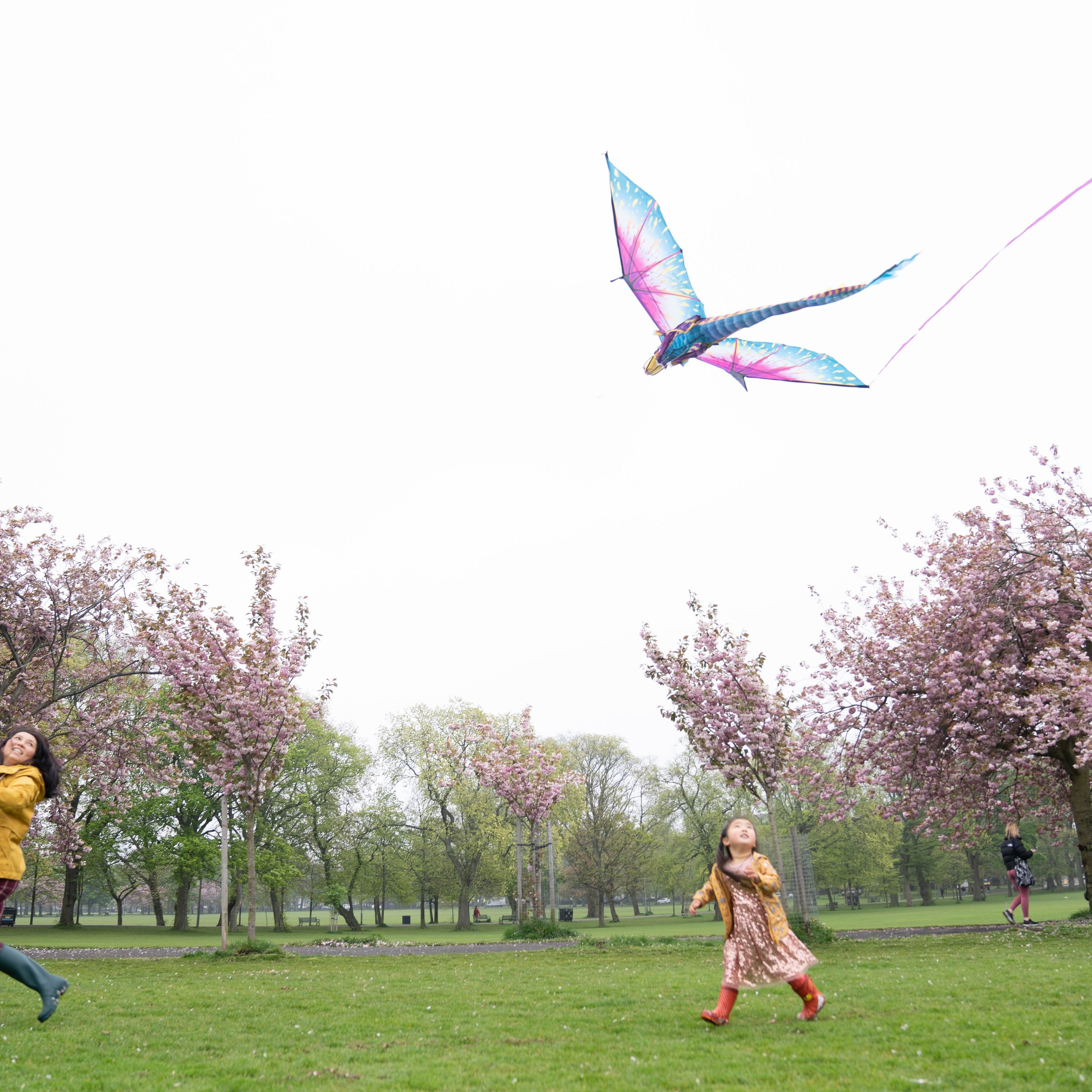 Meadows. Photographer & Tour Guide Based in Scotland