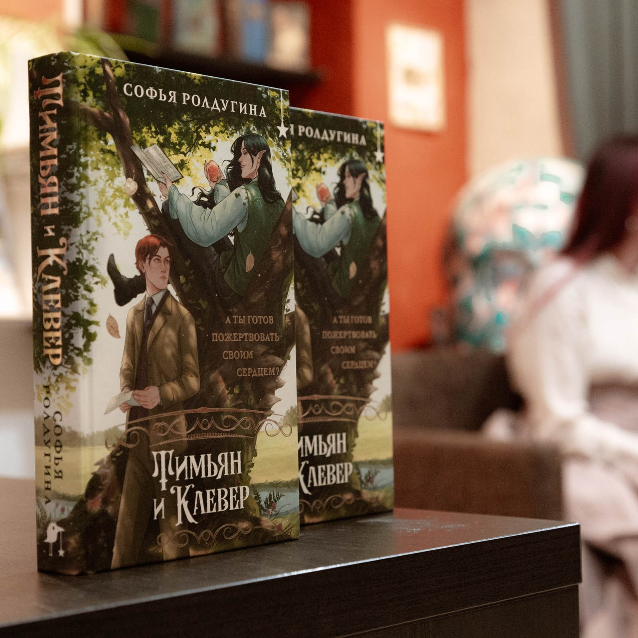 Презентация книги Софьи Родугиной