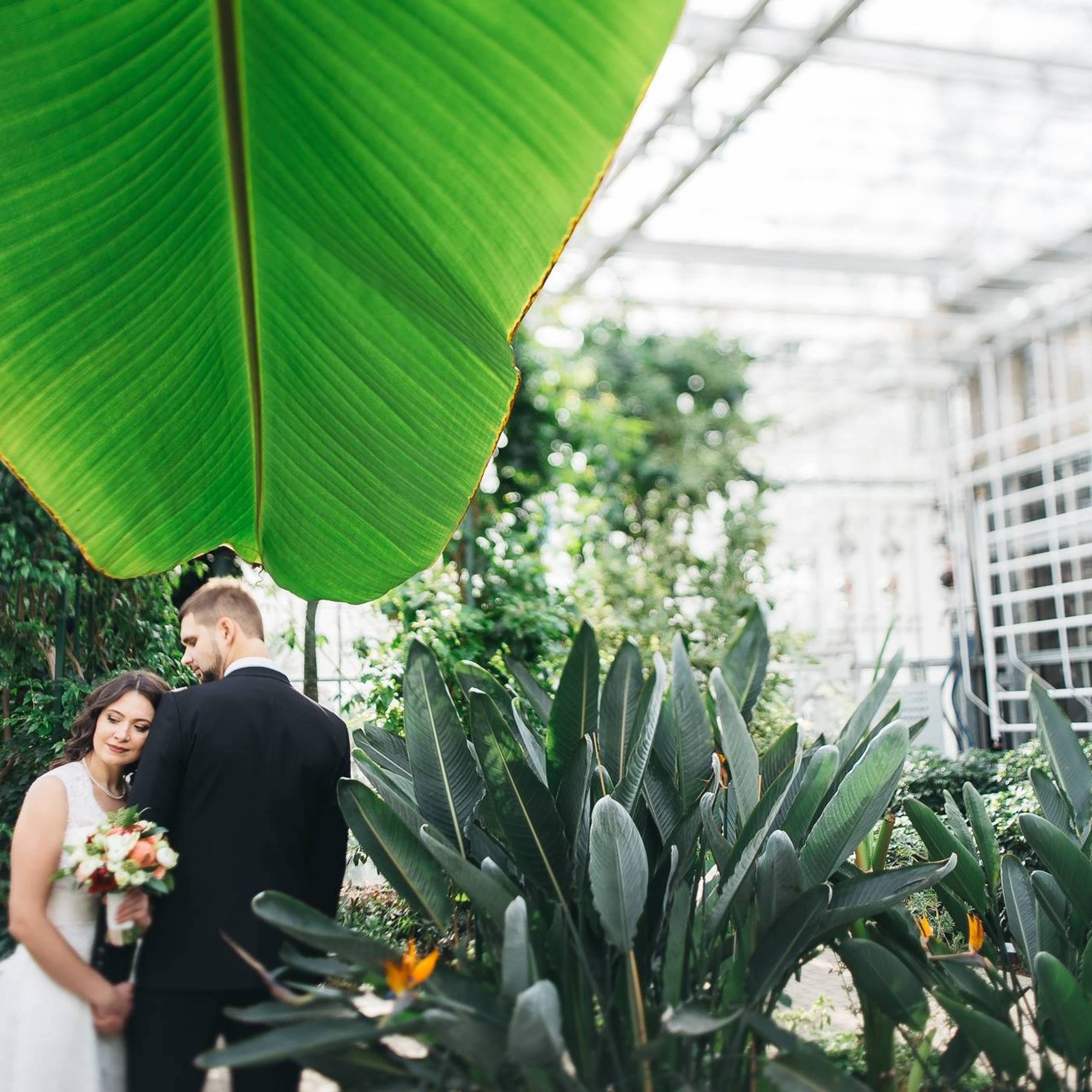 Отзывы. Свадебный фотограф в Риге — Вячеслав Лучненков