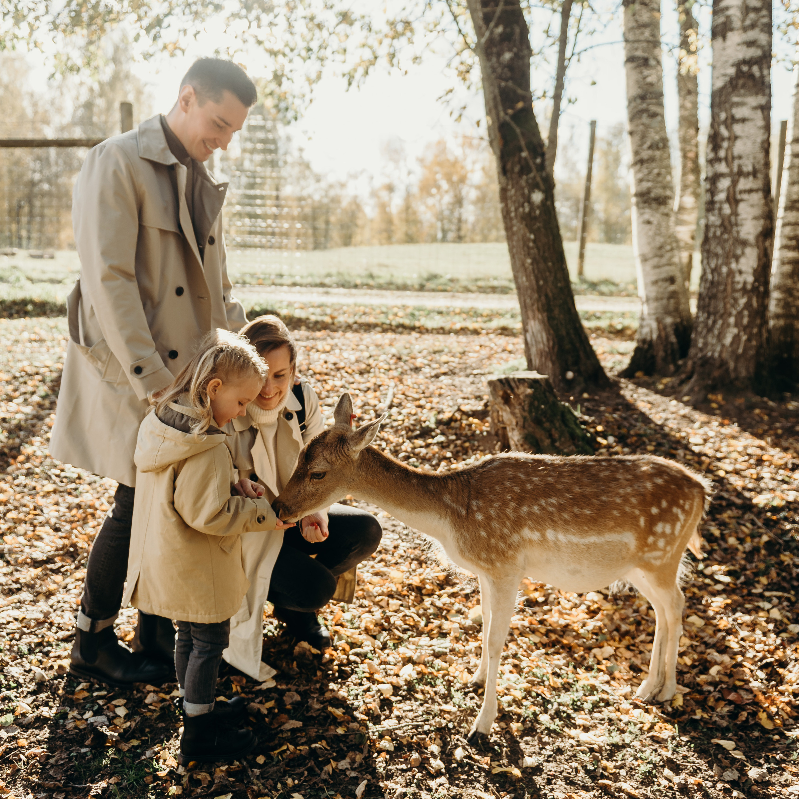 Отзывы. Свадебный фотограф в Риге — Вячеслав Лучненков