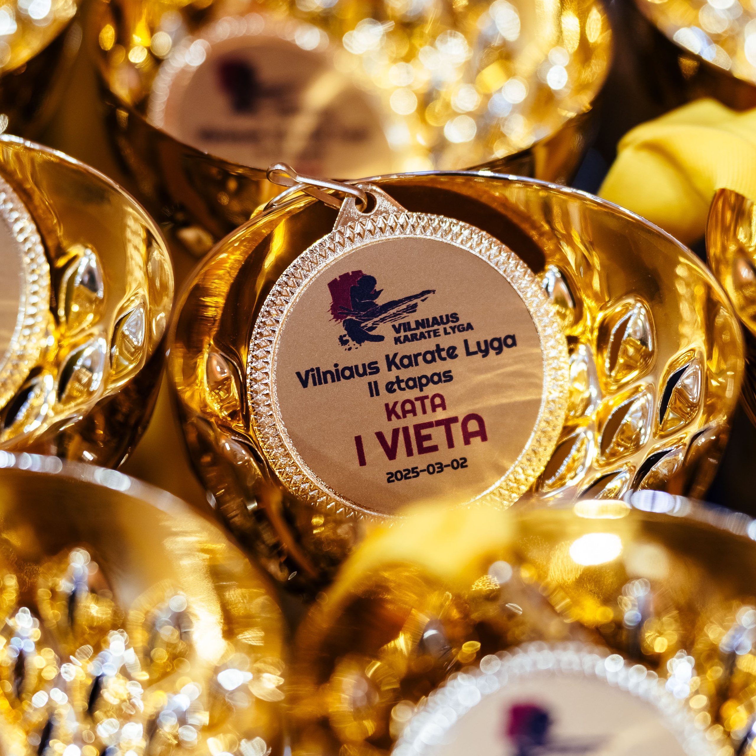 Vilniaus Karate Lyga II Etapas