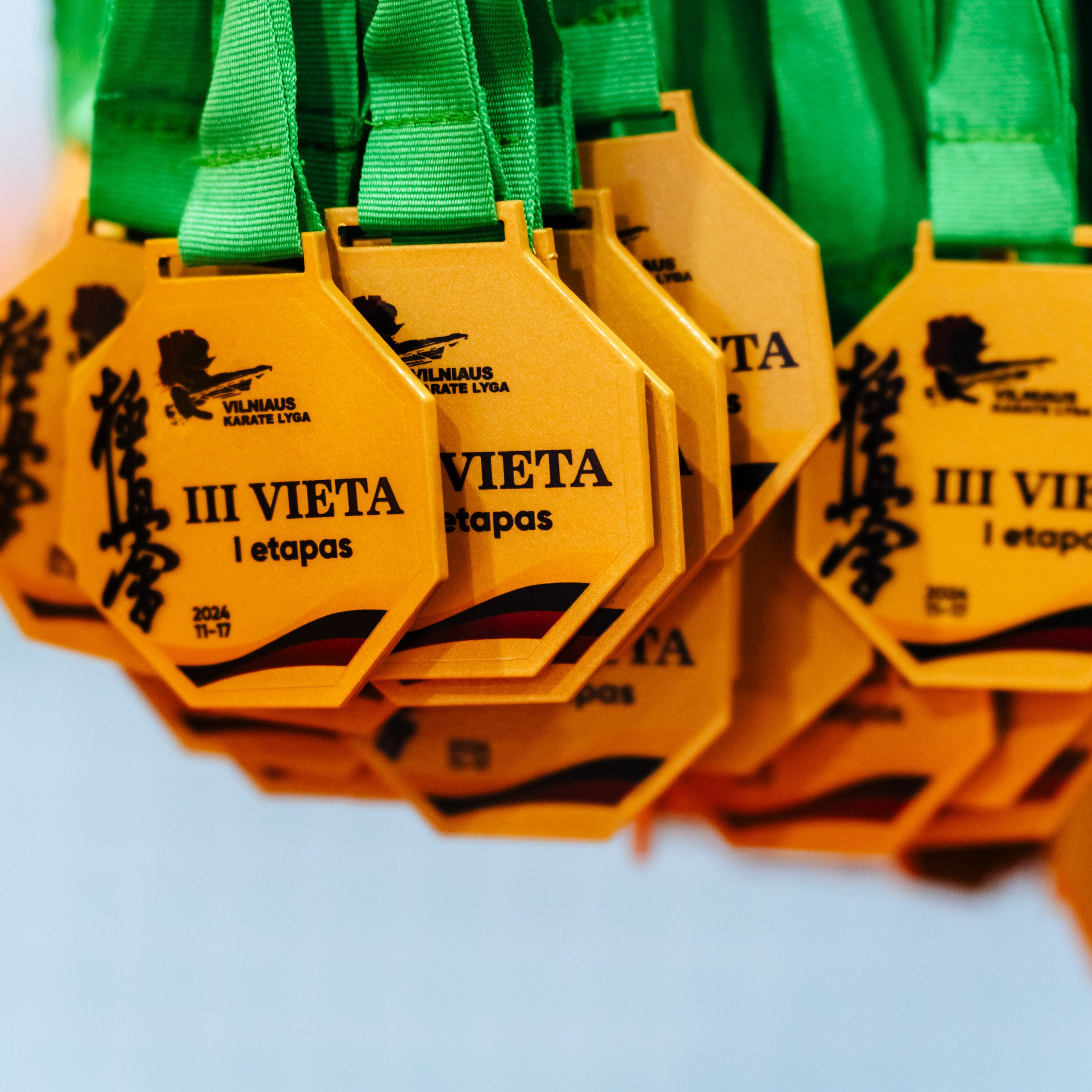 Vilniaus Karate Lyga I Etapas