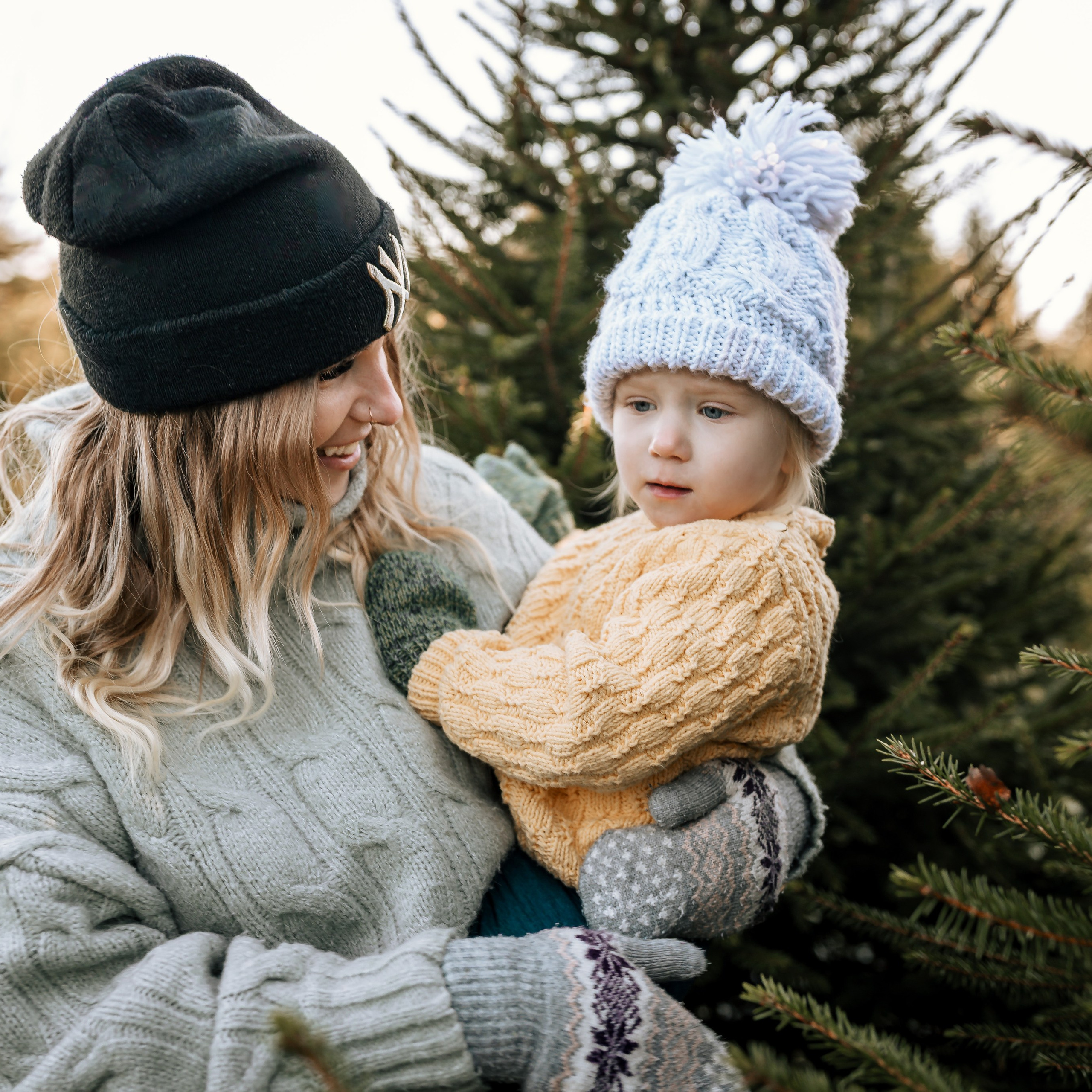 Ziemassvētki eglīšu audzētavā