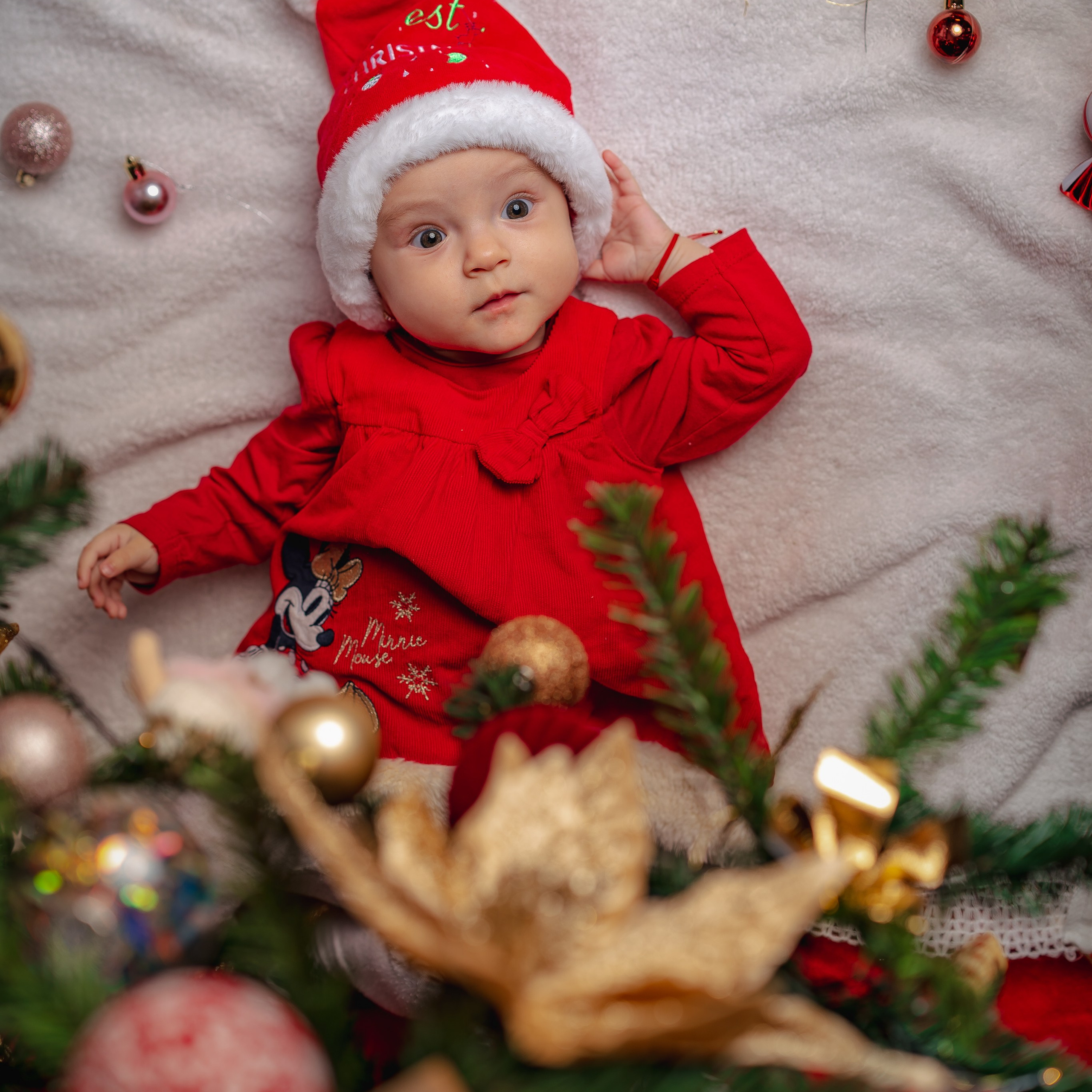 De&nbsp;Craciun 🎄🎅🏻🎁