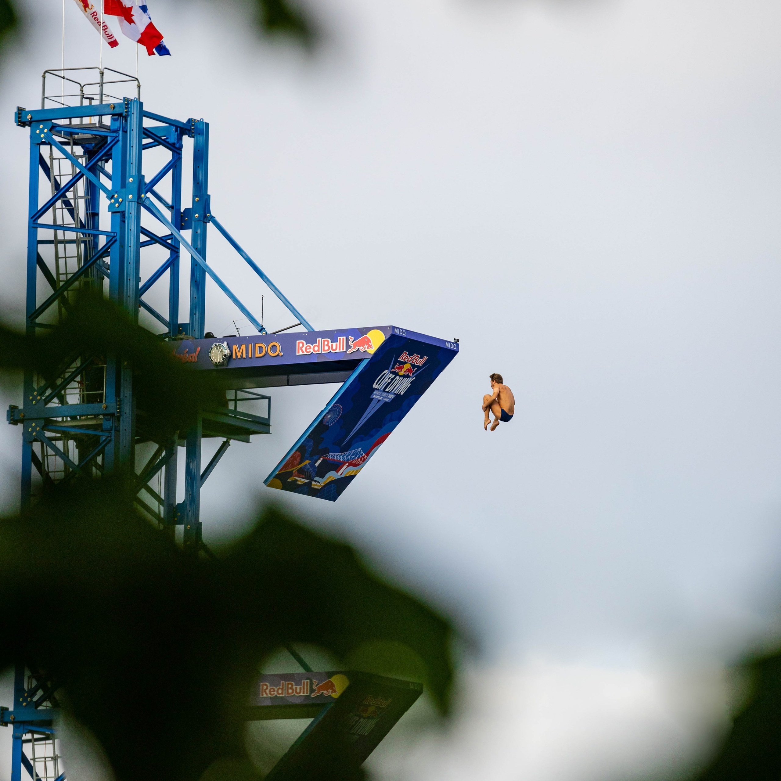 REDBULL DIVE MONTREAL