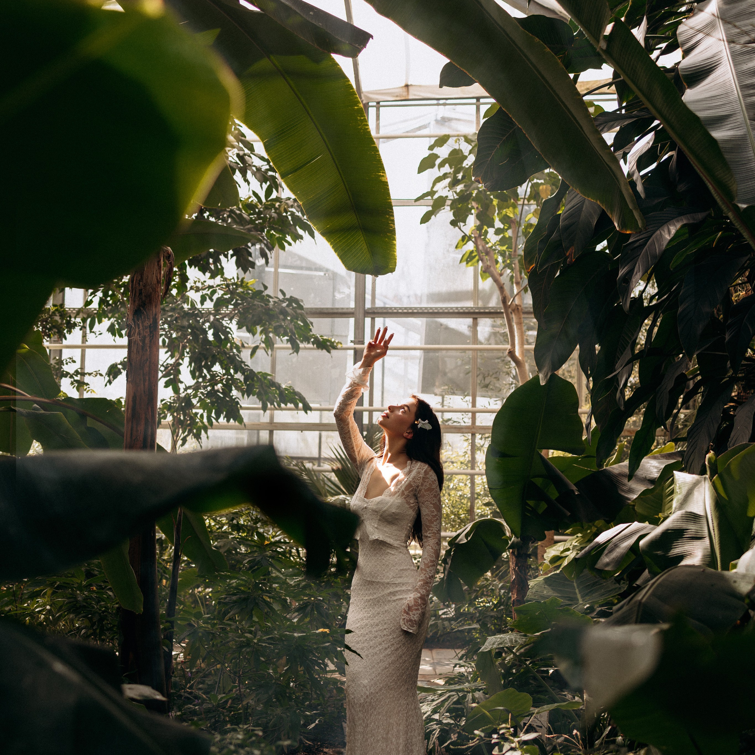 Greenhouse