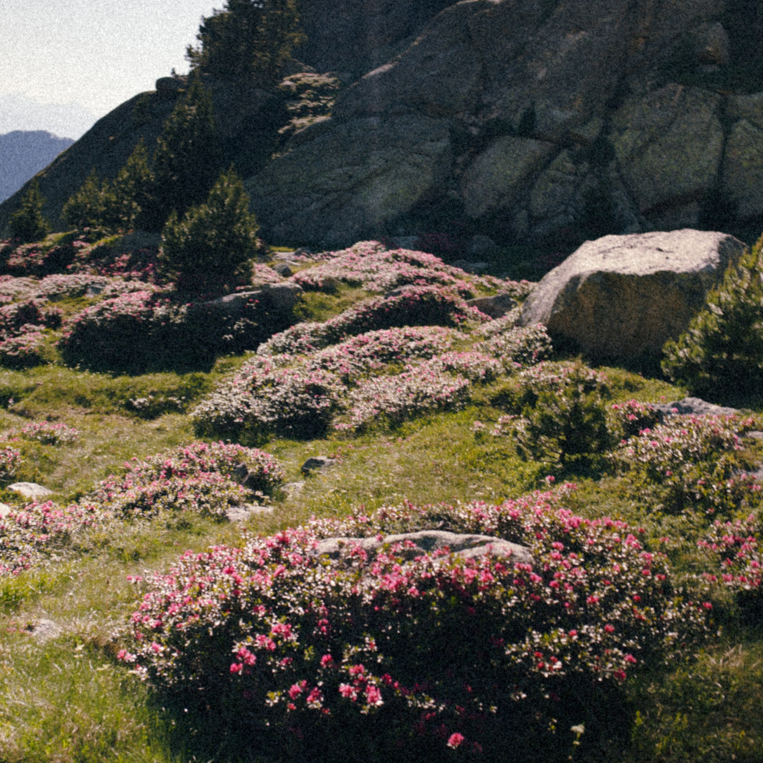 REFUGI J&nbsp;M&nbsp;BLANC