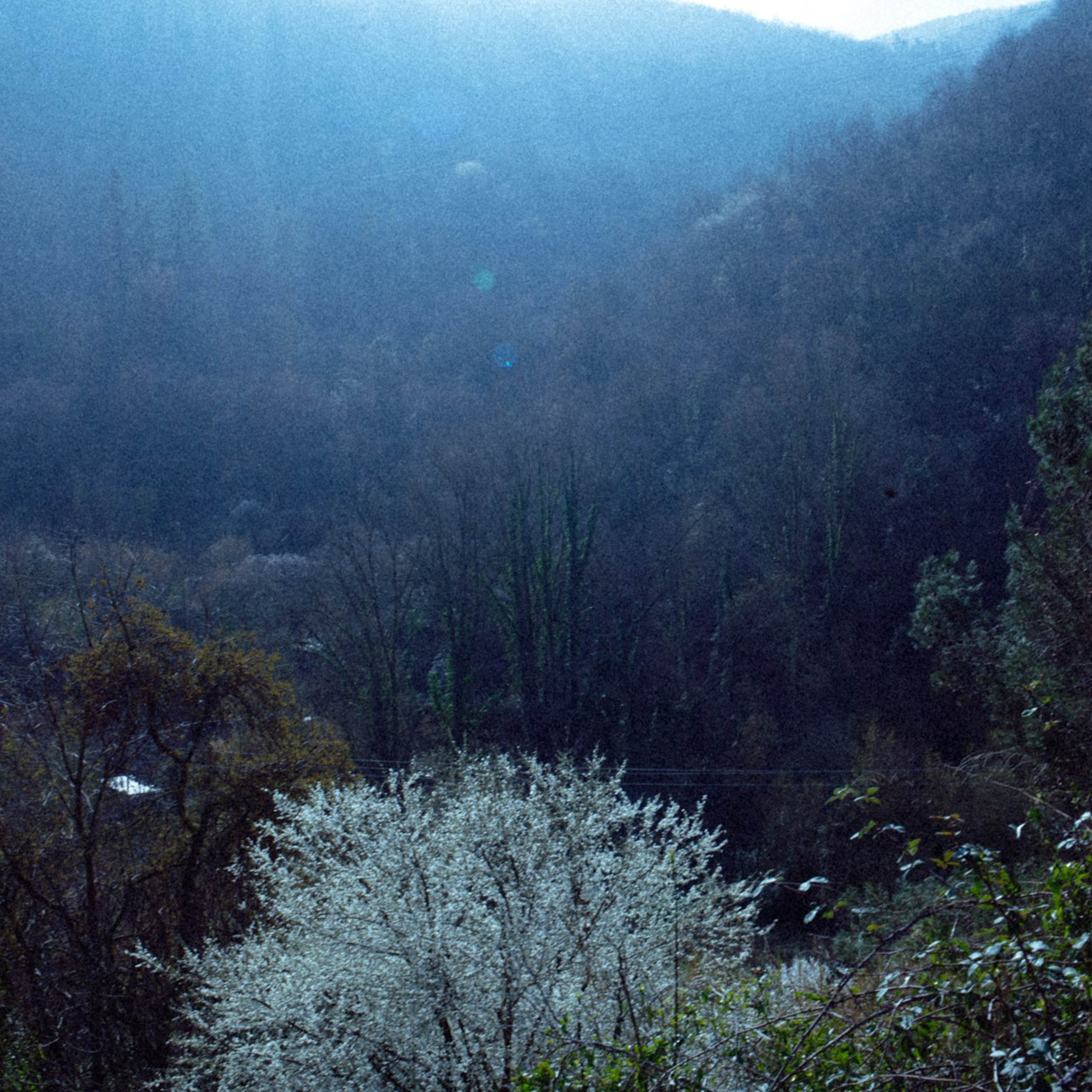 TRIP TO&nbsp;THE MOUNTAINS