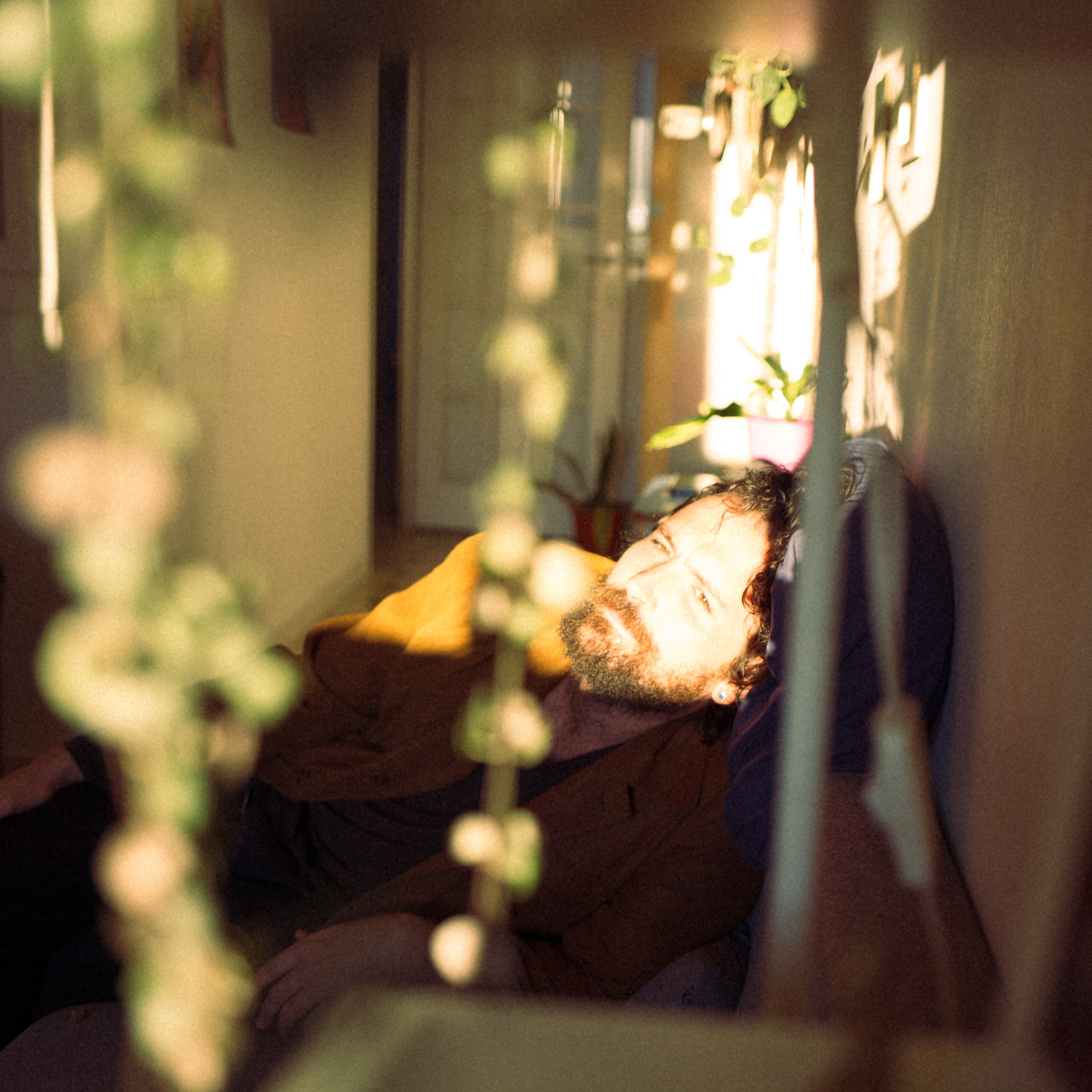 Roy: Portrait of a musician