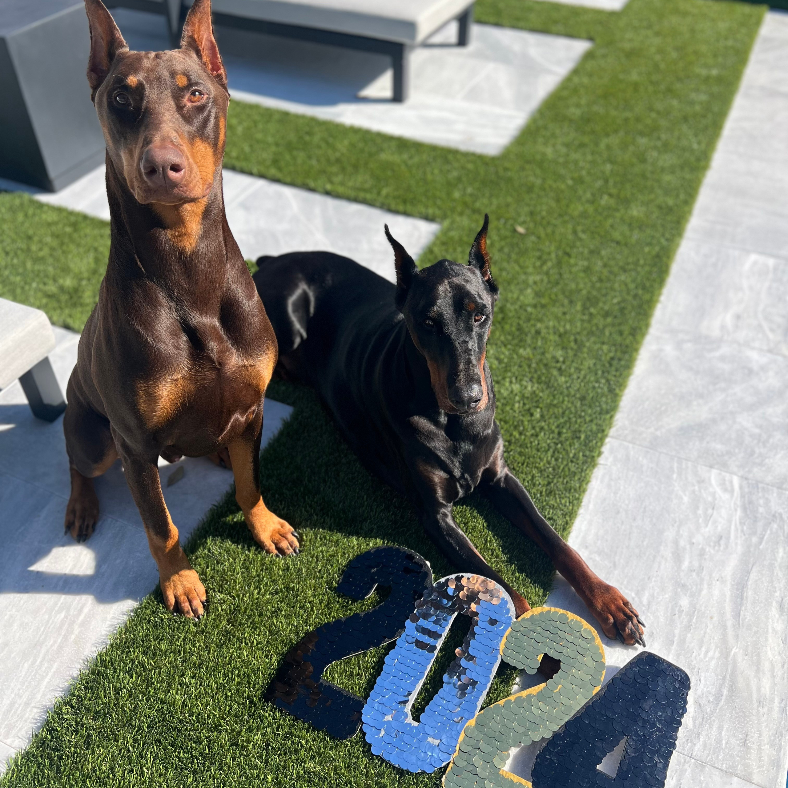 REVIEWS. Spumanti Dobermans