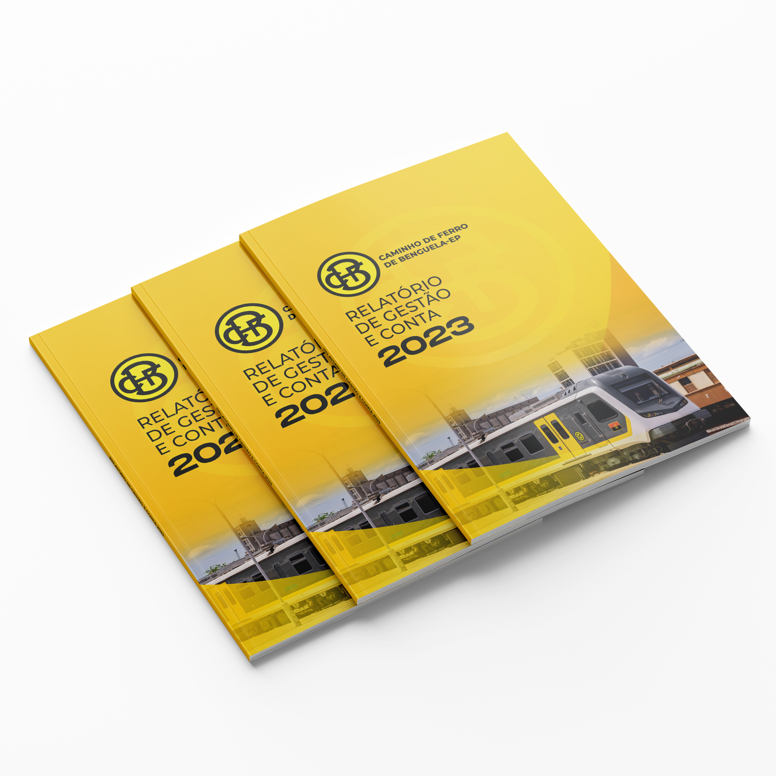 Relatório de Gestão e Contas — CFB