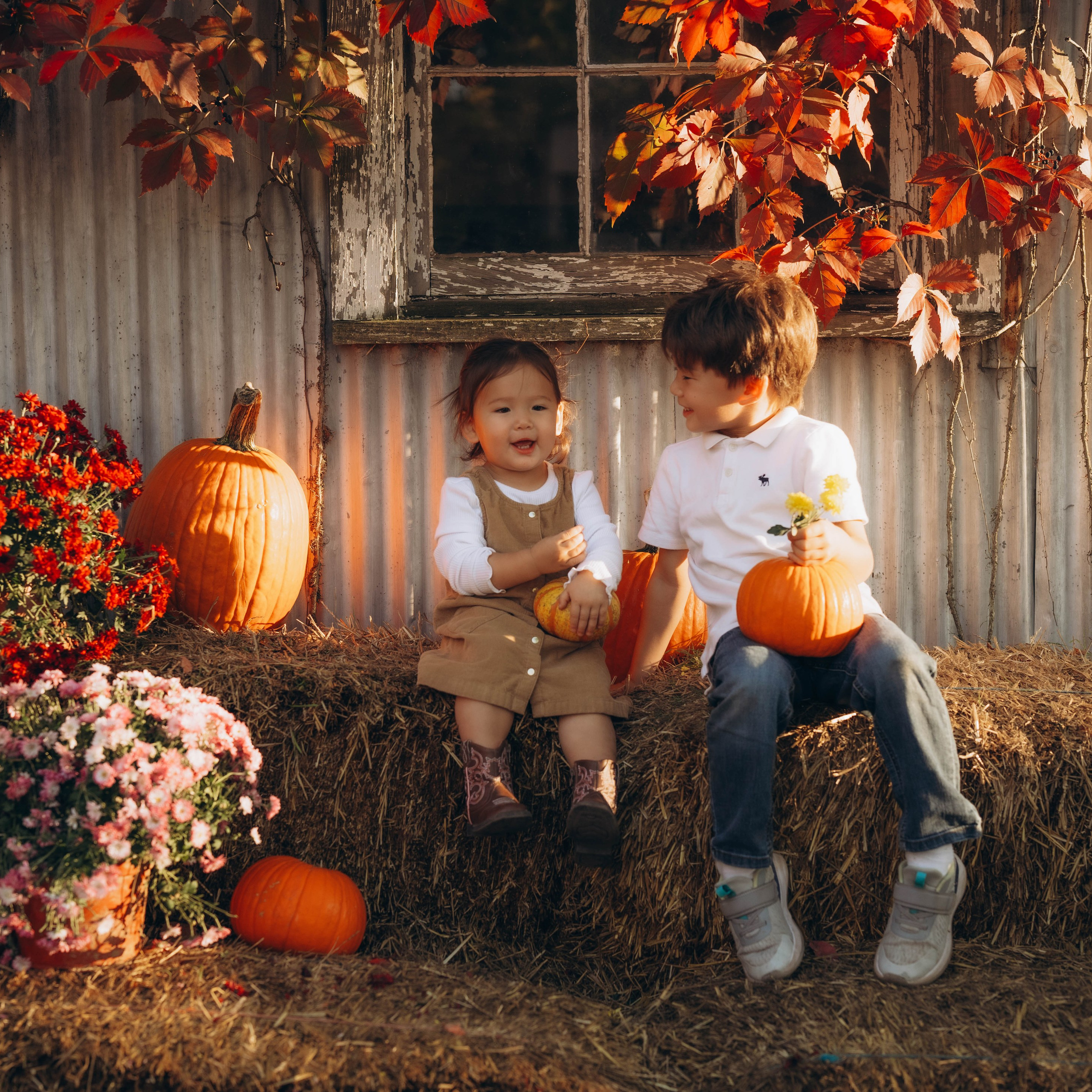 Reviews. Lifestyle Family Photographer in Pennsylvania