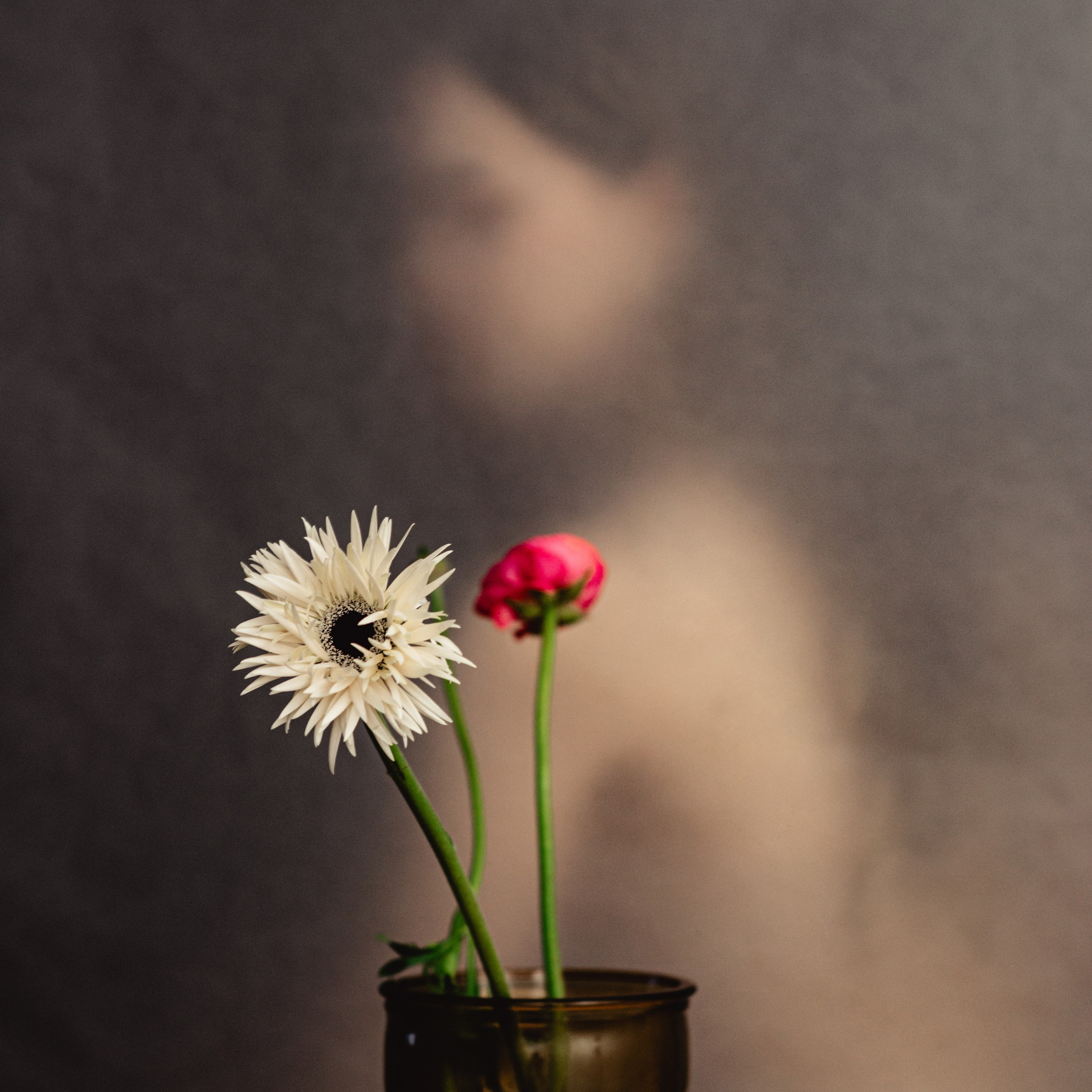 Portfolio. Katerina Sheveleva | Fashion | Photography & Direction | Antwerpen | België