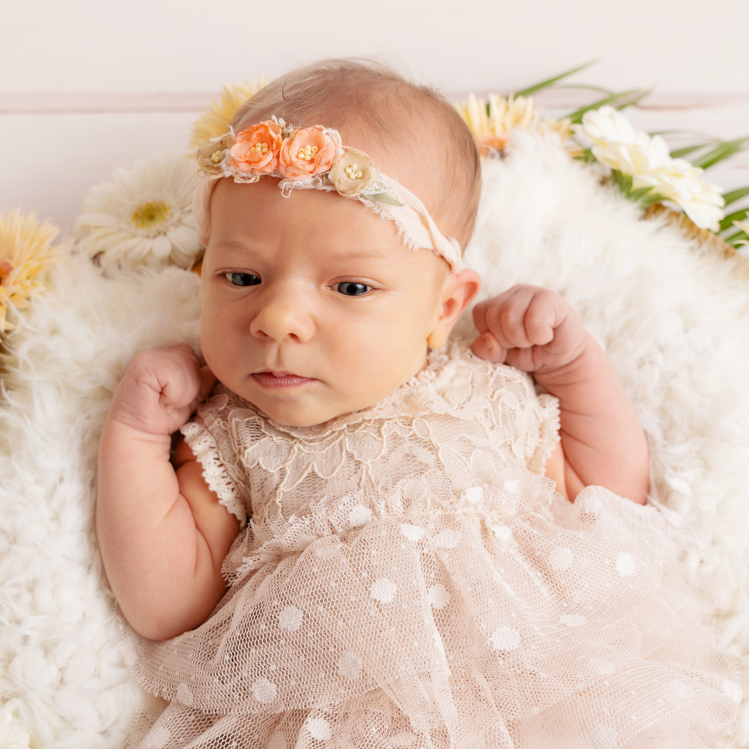 Bewertungen Fotografin Nastassia Schneider in Augsburg. Neugeborenenfotografin und Retoucher in Augsburg Nastassia Schneider