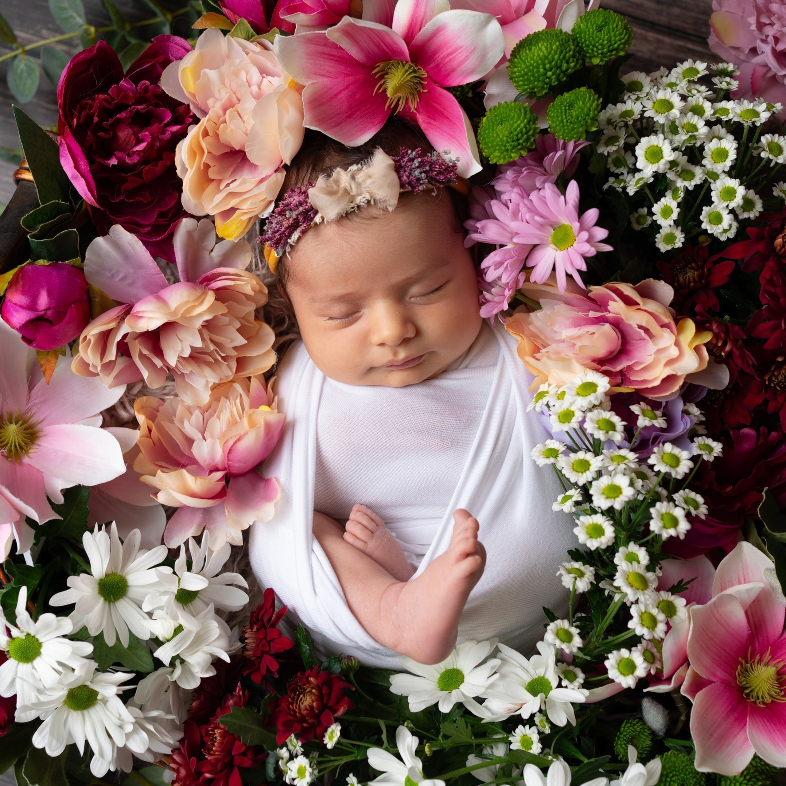 Bewertungen Fotografin Nastassia Schneider in Augsburg. Neugeborenenfotografin und Retoucher in Augsburg Nastassia Schneider