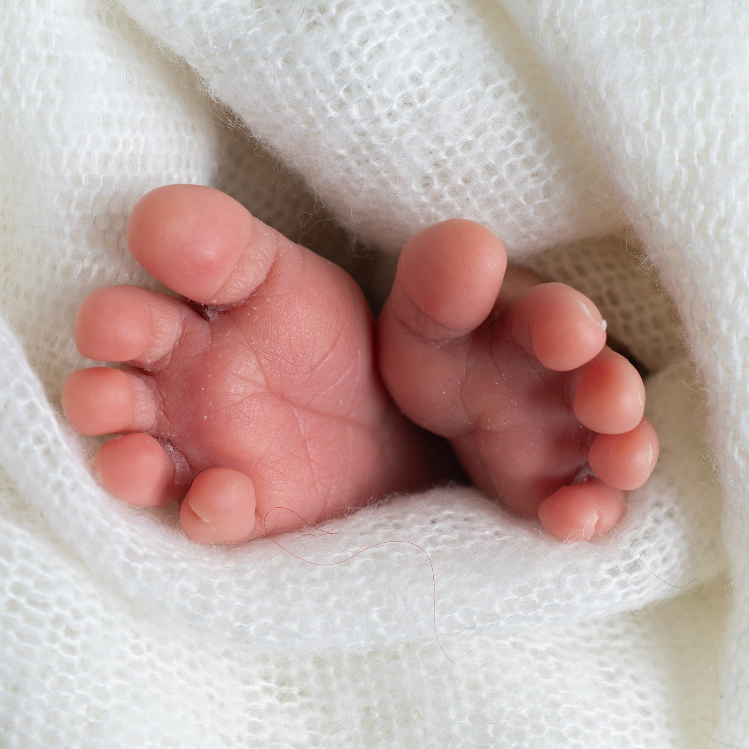 Bewertungen Fotografin Nastassia Schneider in Augsburg. Neugeborenenfotografin und Retoucher in Augsburg Nastassia Schneider