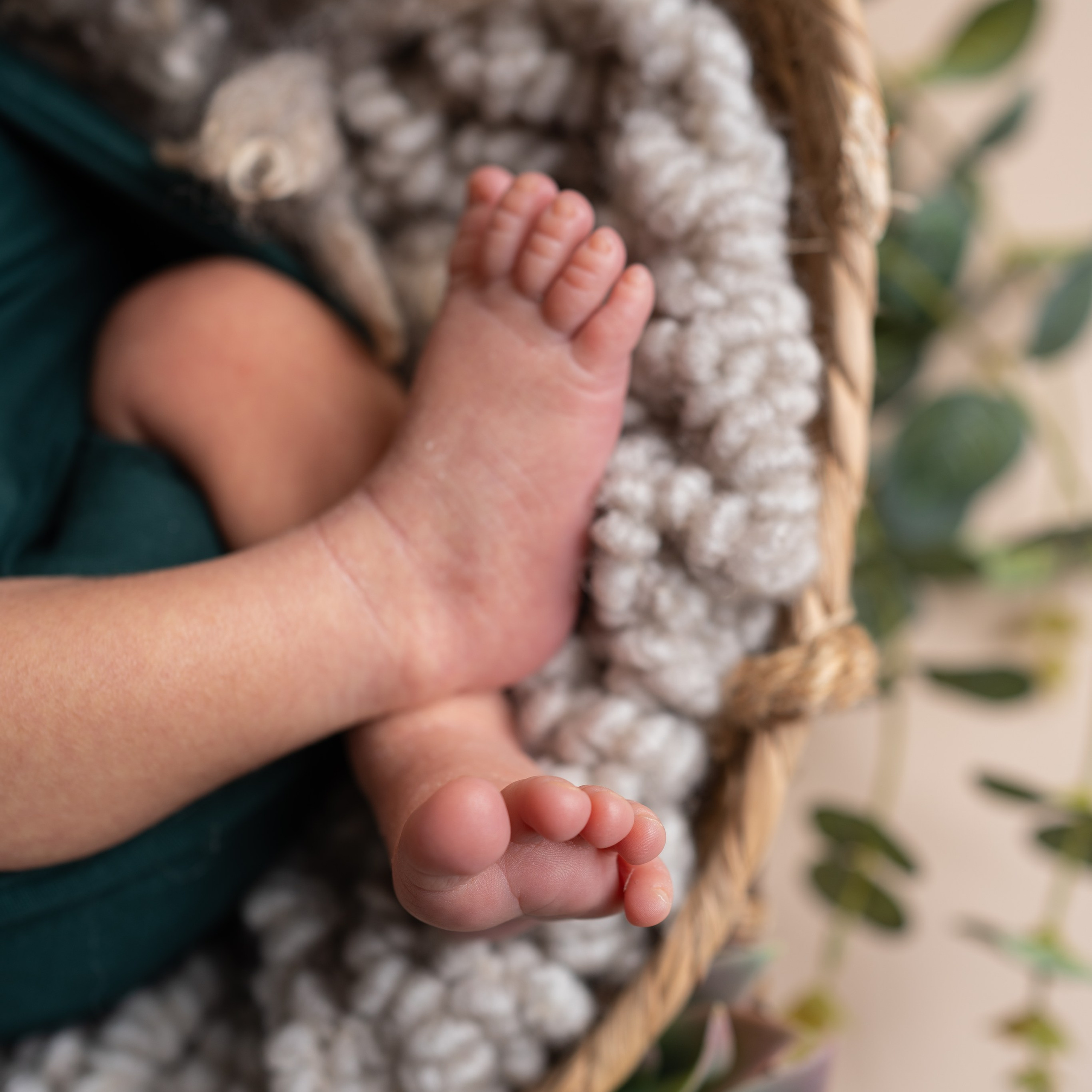 Bewertungen Fotografin Nastassia Schneider in Augsburg. Neugeborenenfotografin und Retoucher in Augsburg Nastassia Schneider