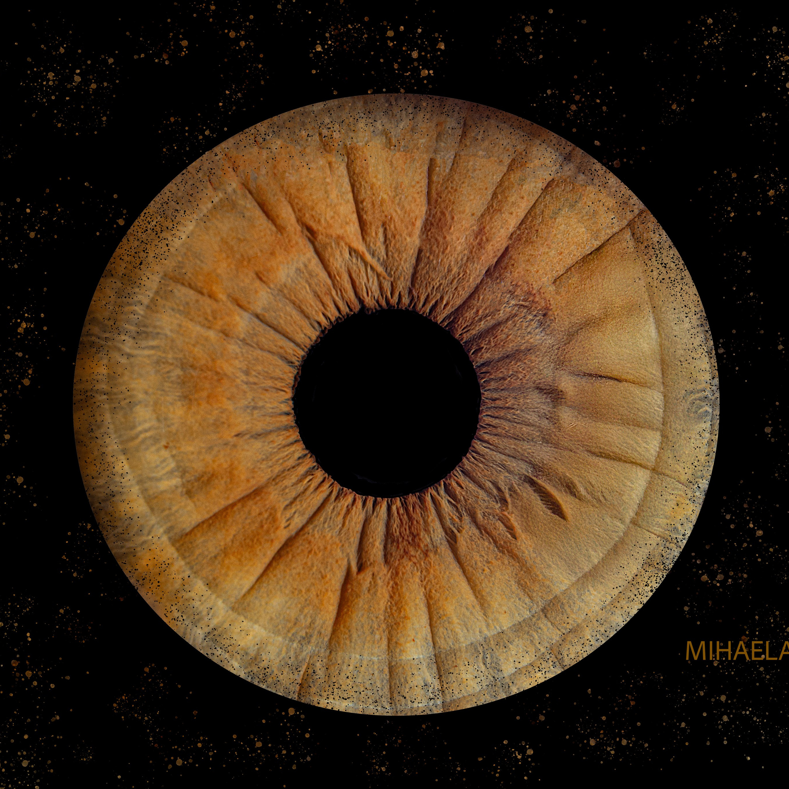 Family, food, portrait, iris, animals & nature