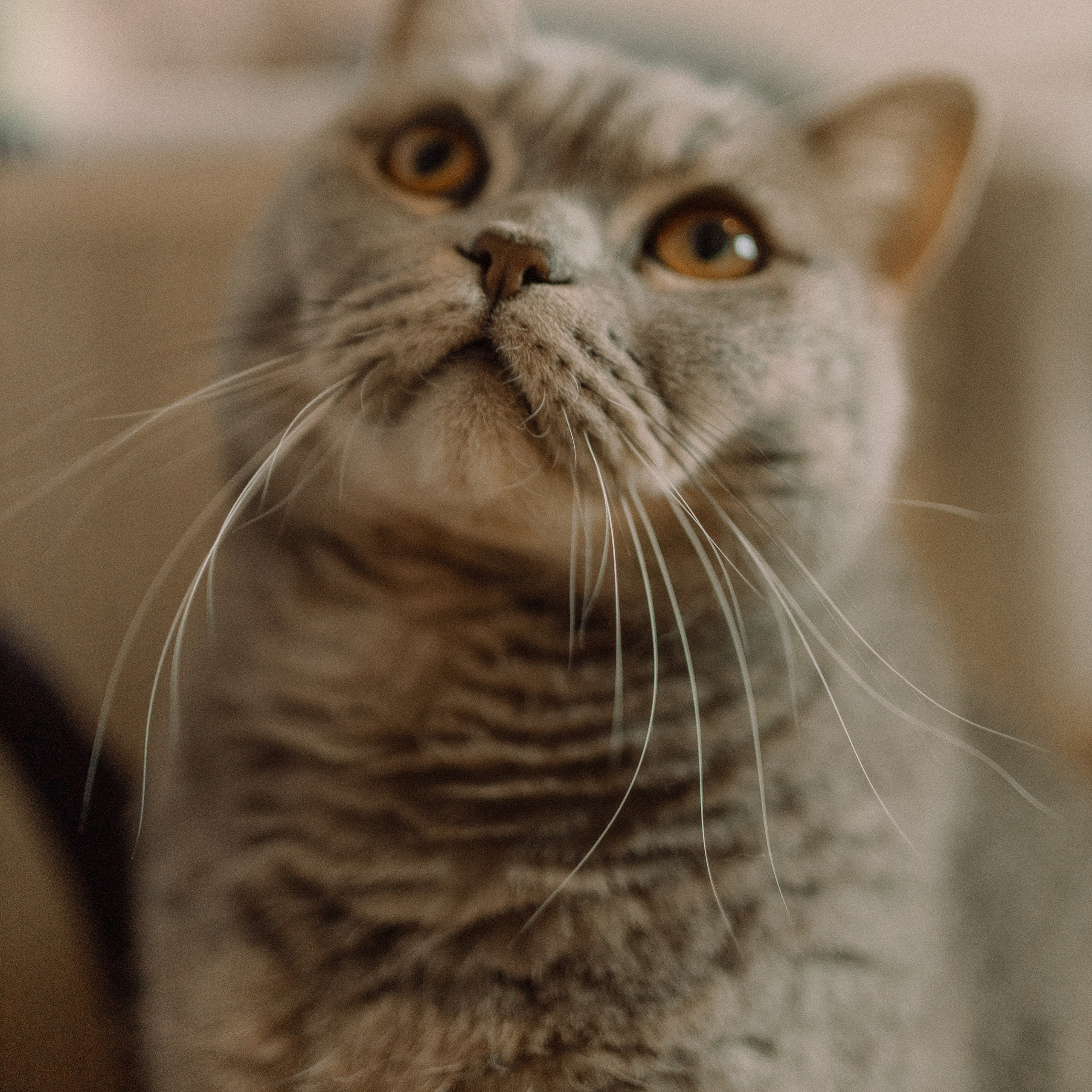 FEEDBACK. Achtsame Fotografin| Margarita Mayer