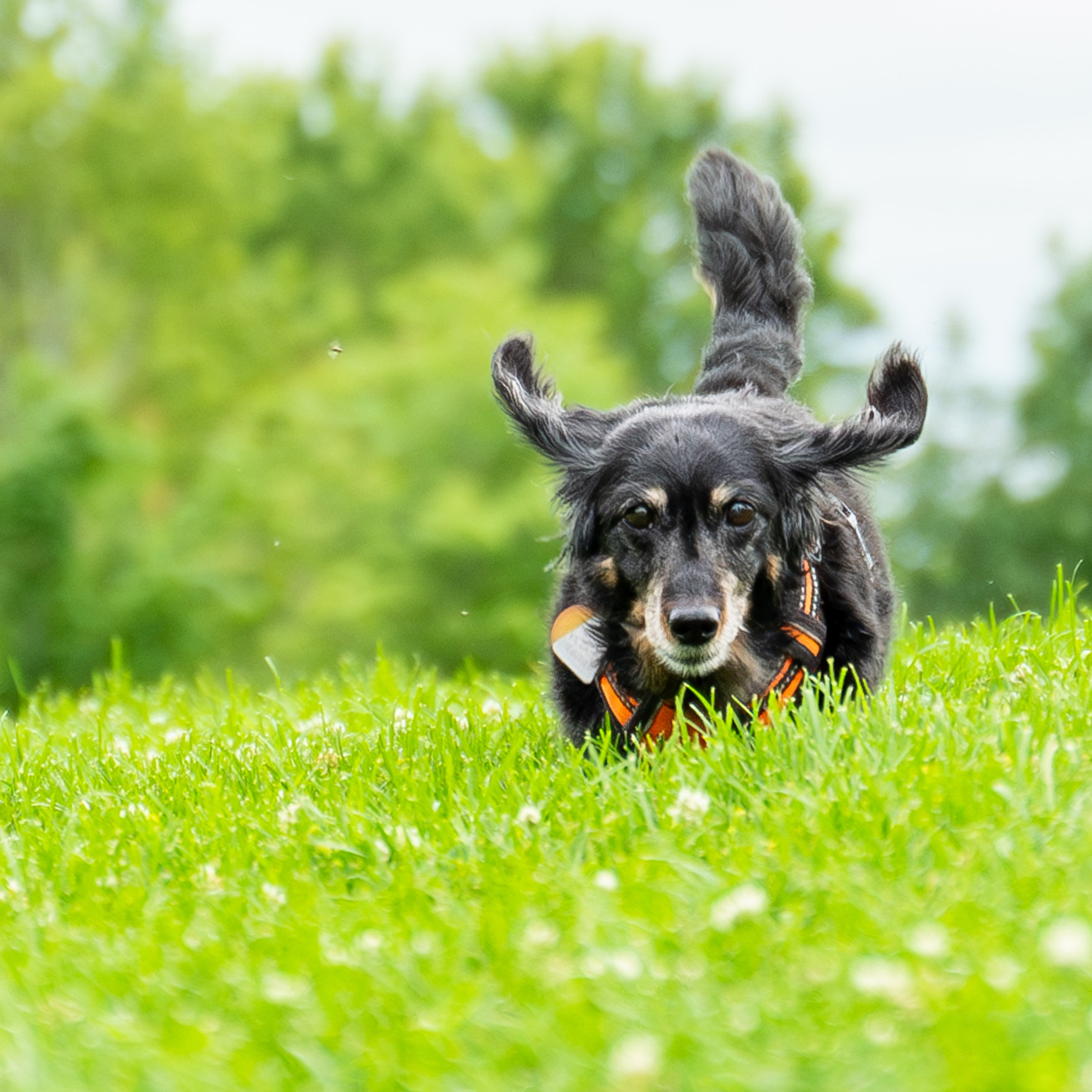 Testimonials. Wedding and event photographer in guelph ontario canada Jessica Giovanni