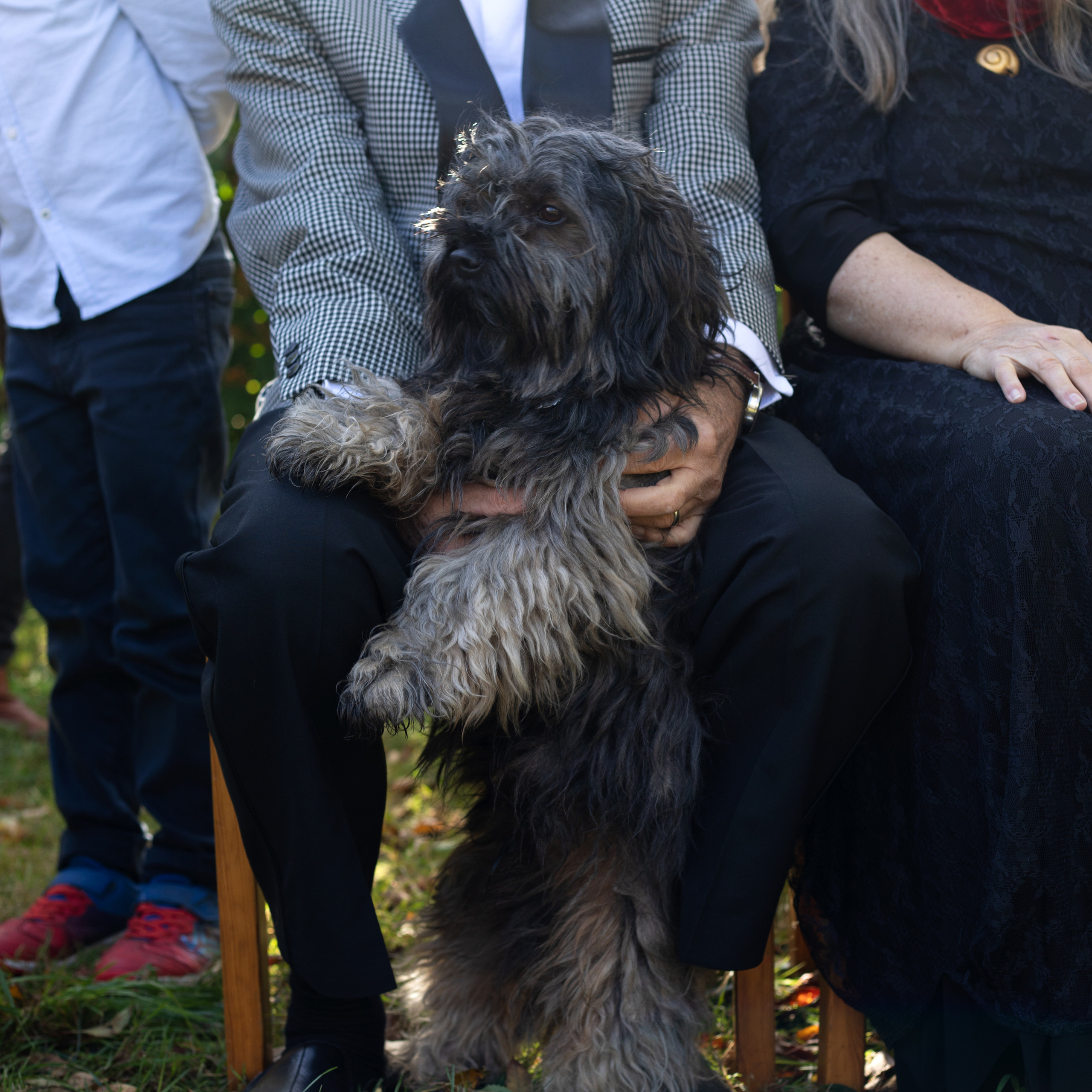 BEWERTUNGEN. Fotografin und Videografin im Raum Osnabrück und Emsland Alla