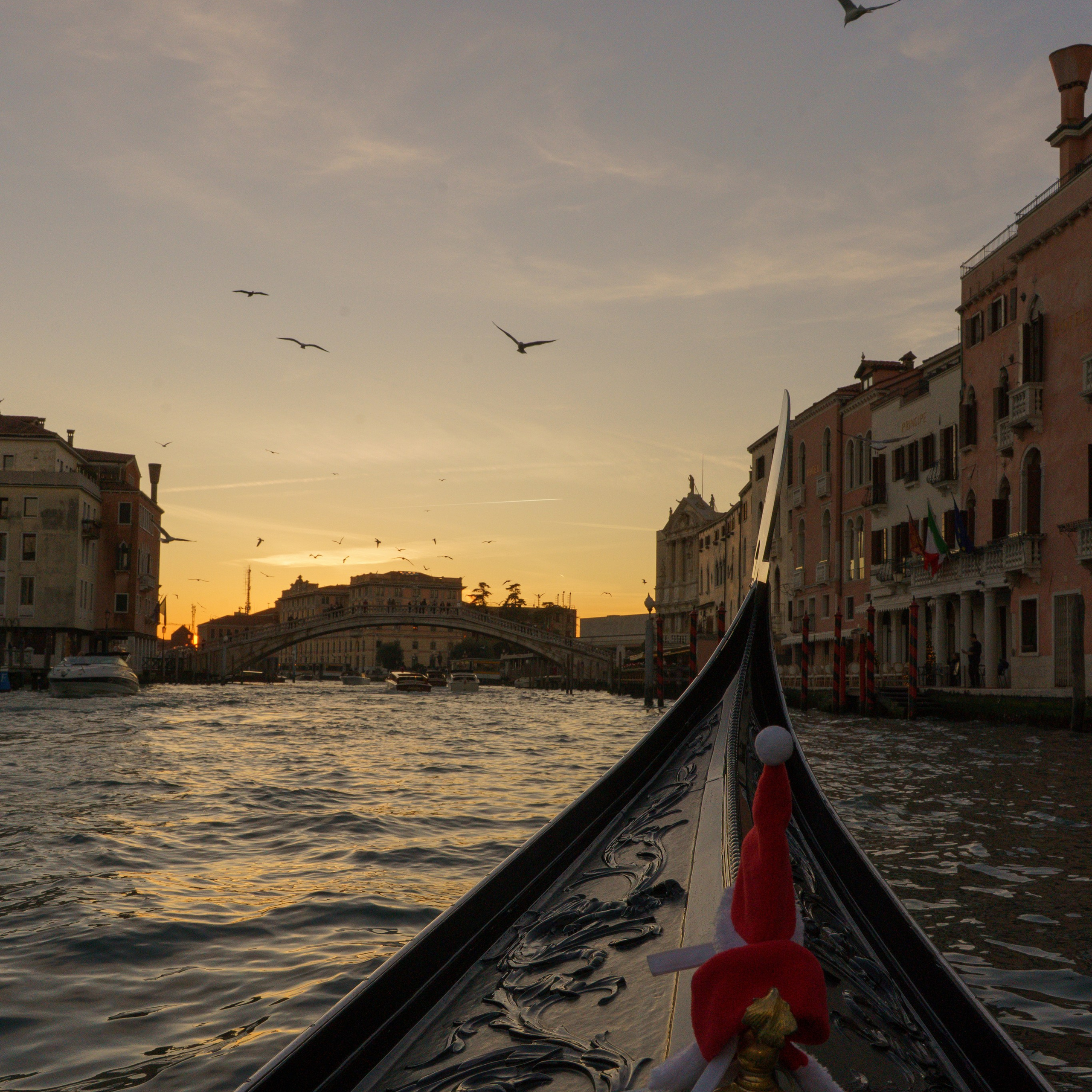 Venice. Venice photographer