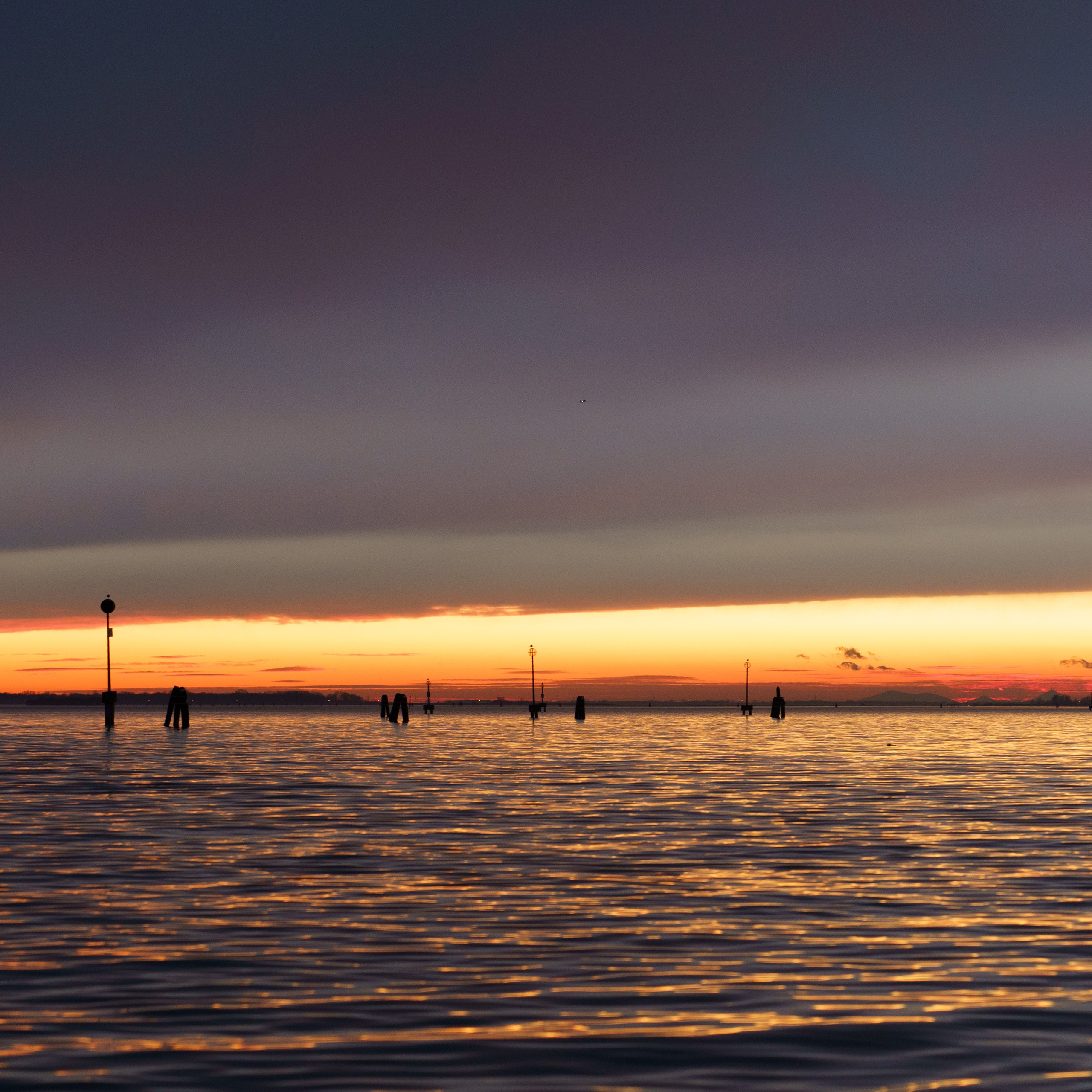Venice. Venice photographer