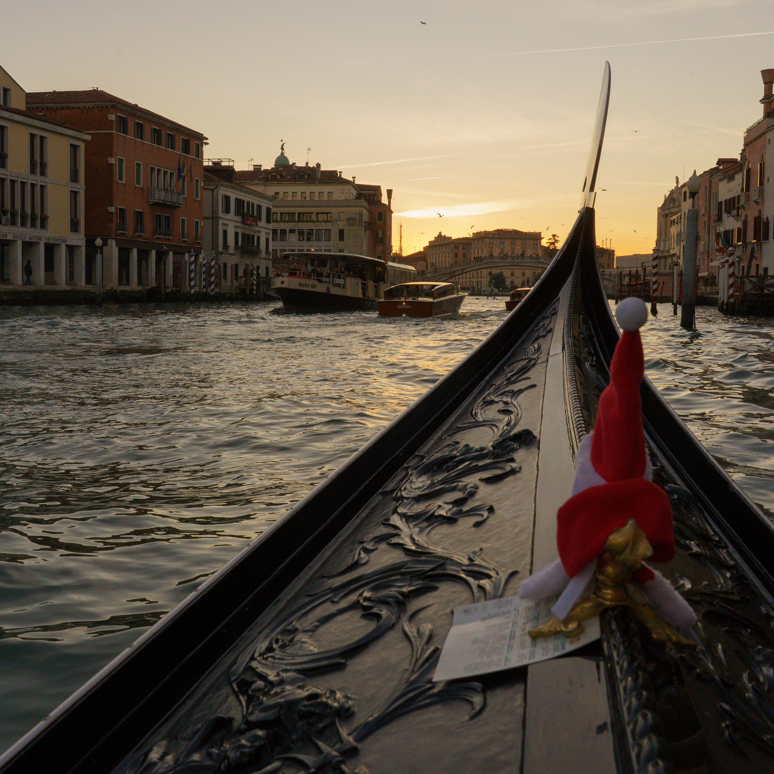 Venice. Venice photographer