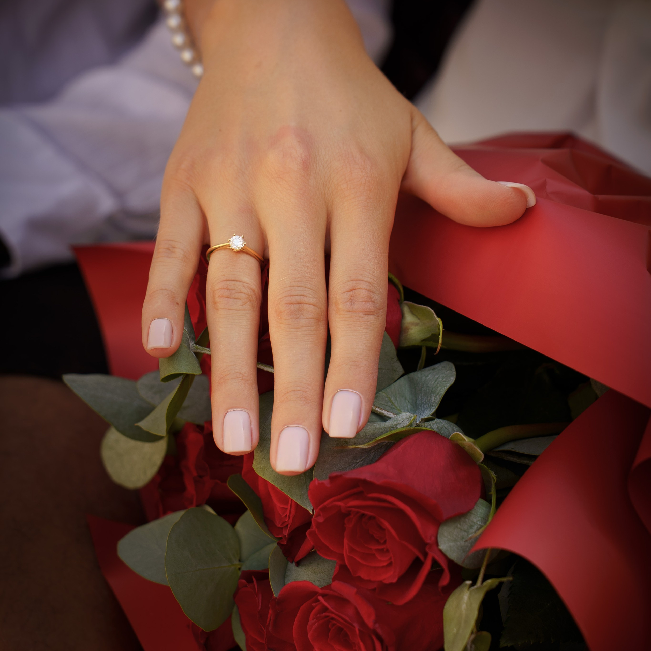 Proposals. Venice photographer