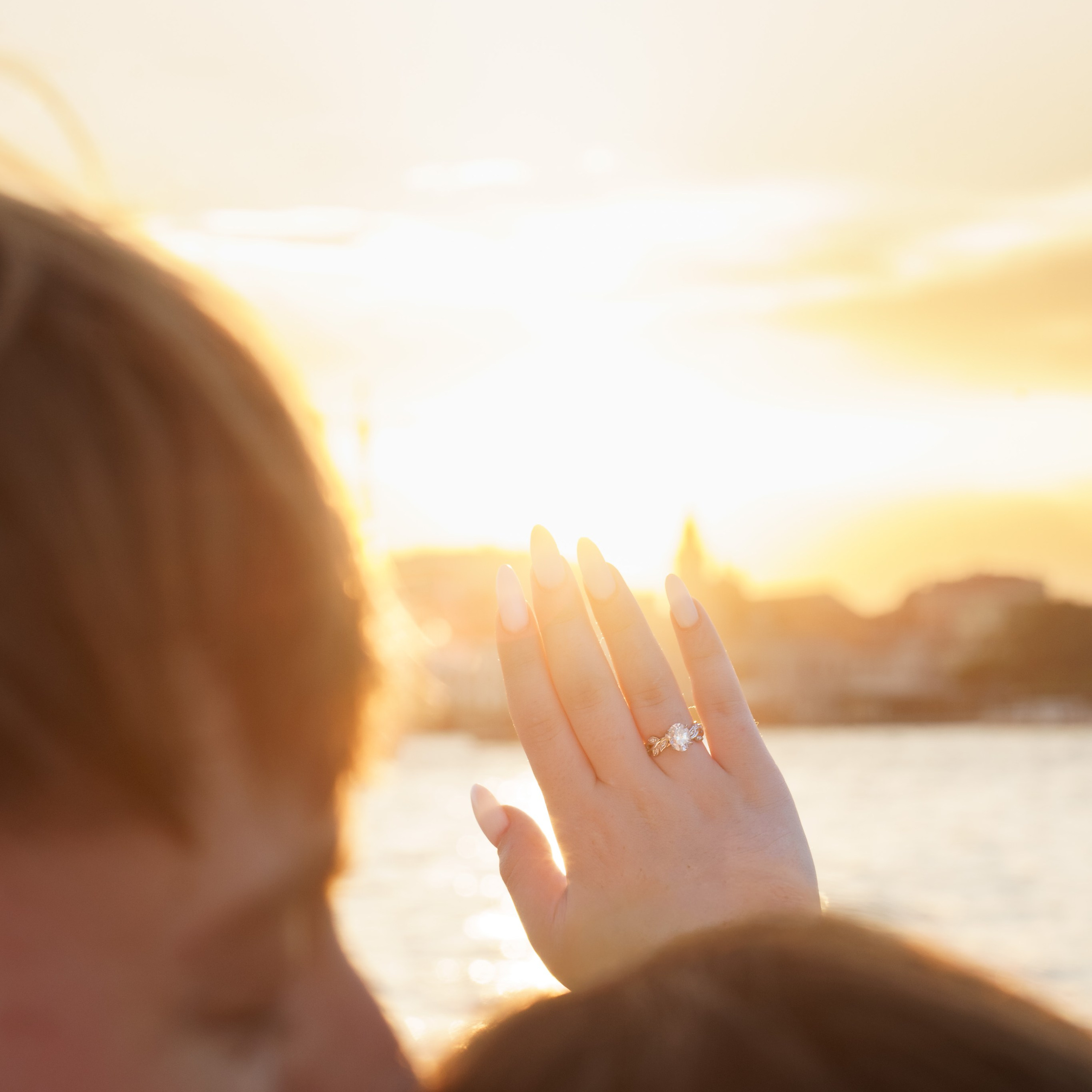 Proposals. Venice photographer