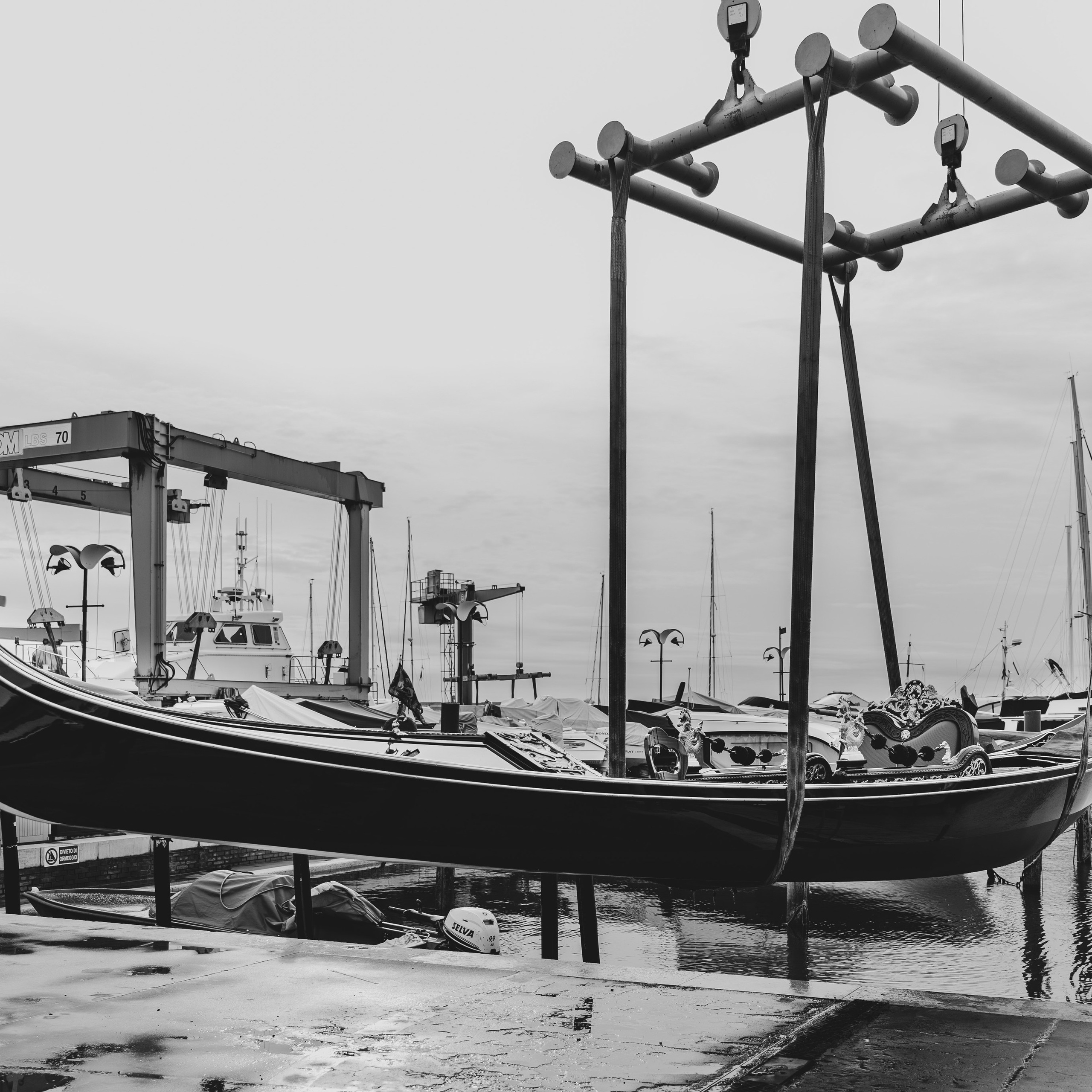 Venice. Venice photographer