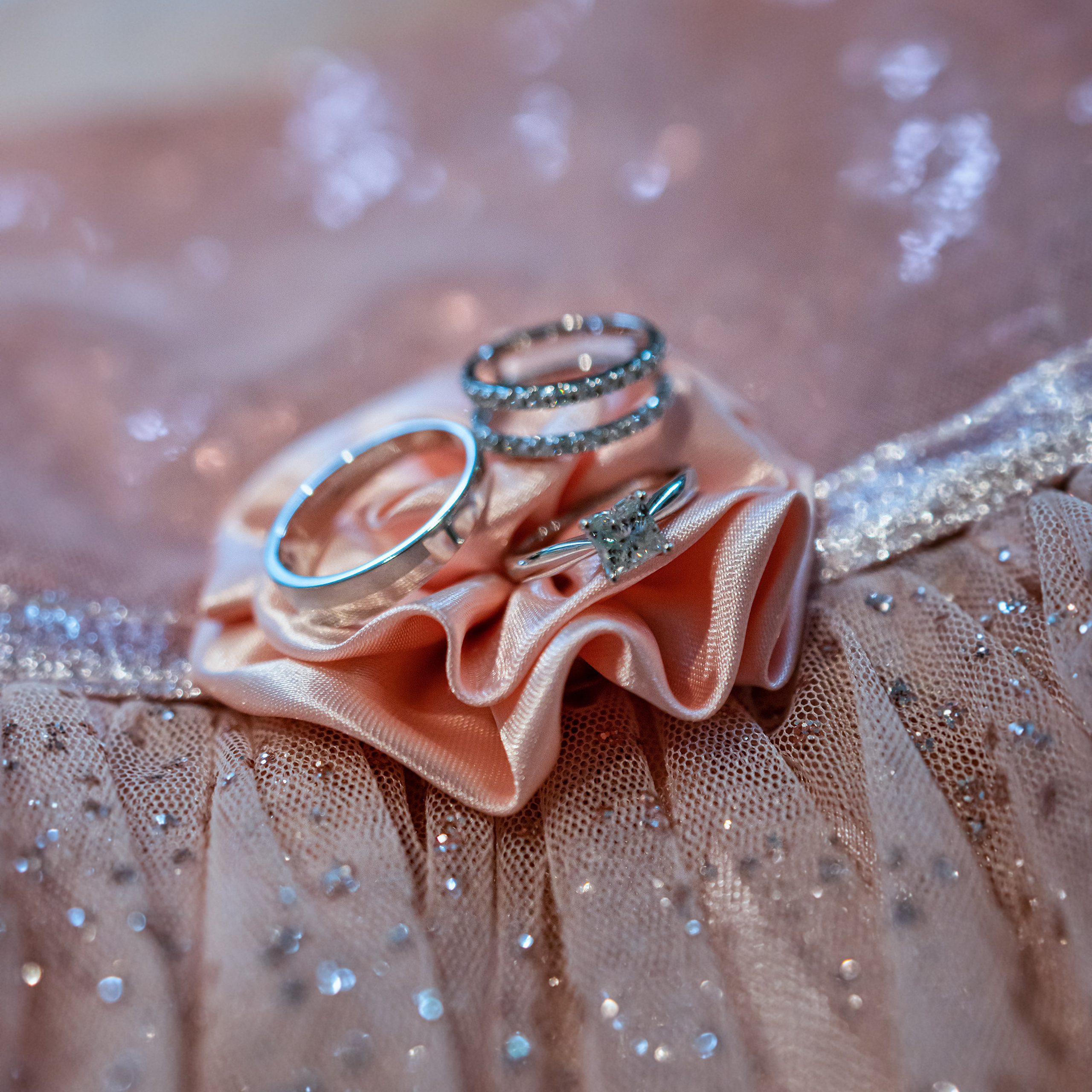 Testimonials. Vancouver Kids Photographer